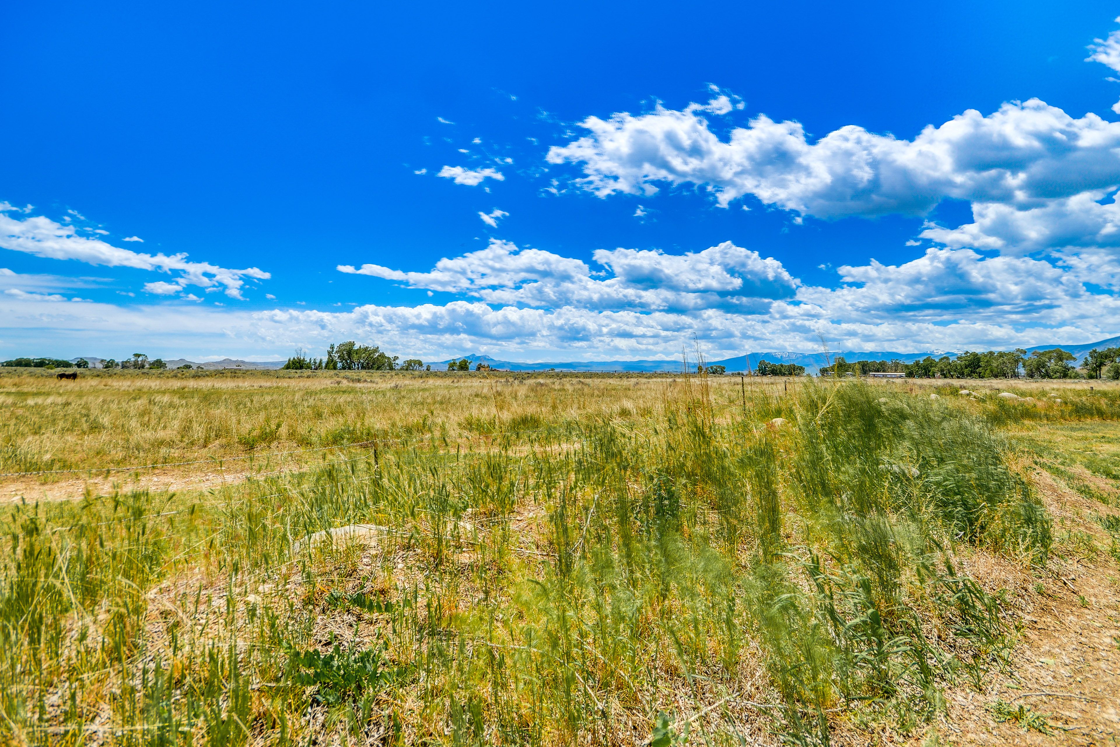 Property Views