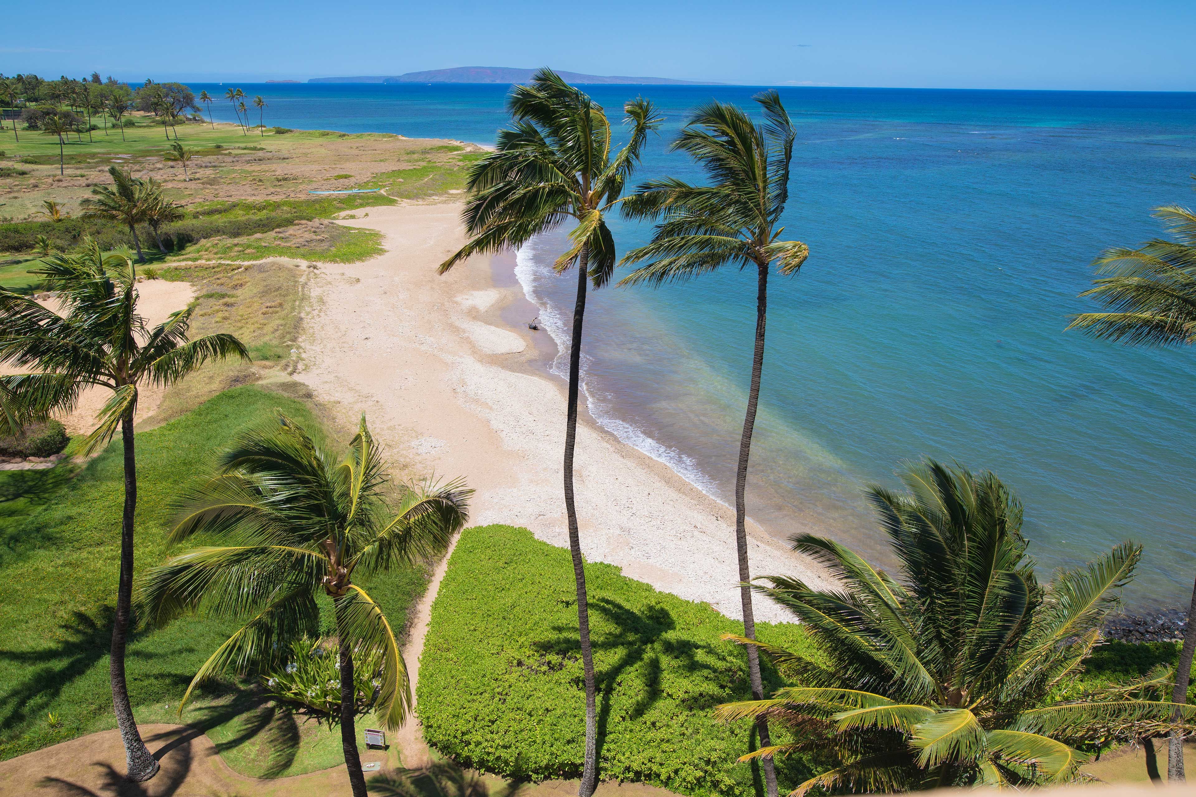 For a change of scenery, all 3 Kamaole Beach Parks are only a few miles out.