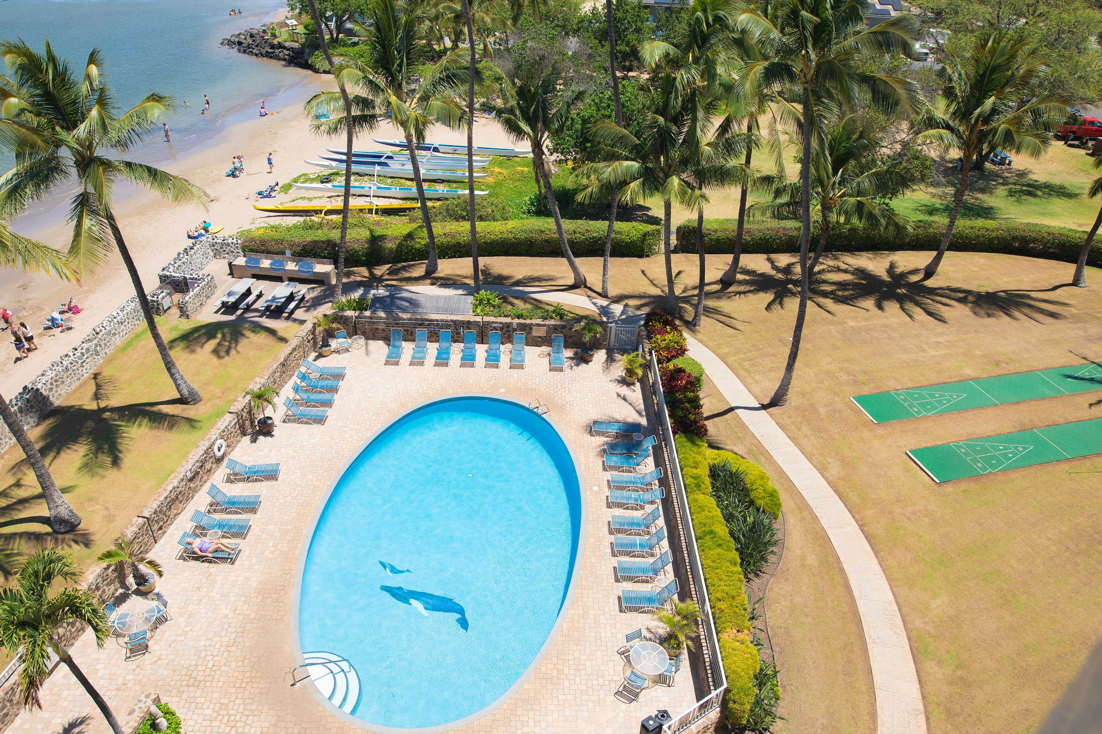 Enjoy some R&R by the beachfront pool.