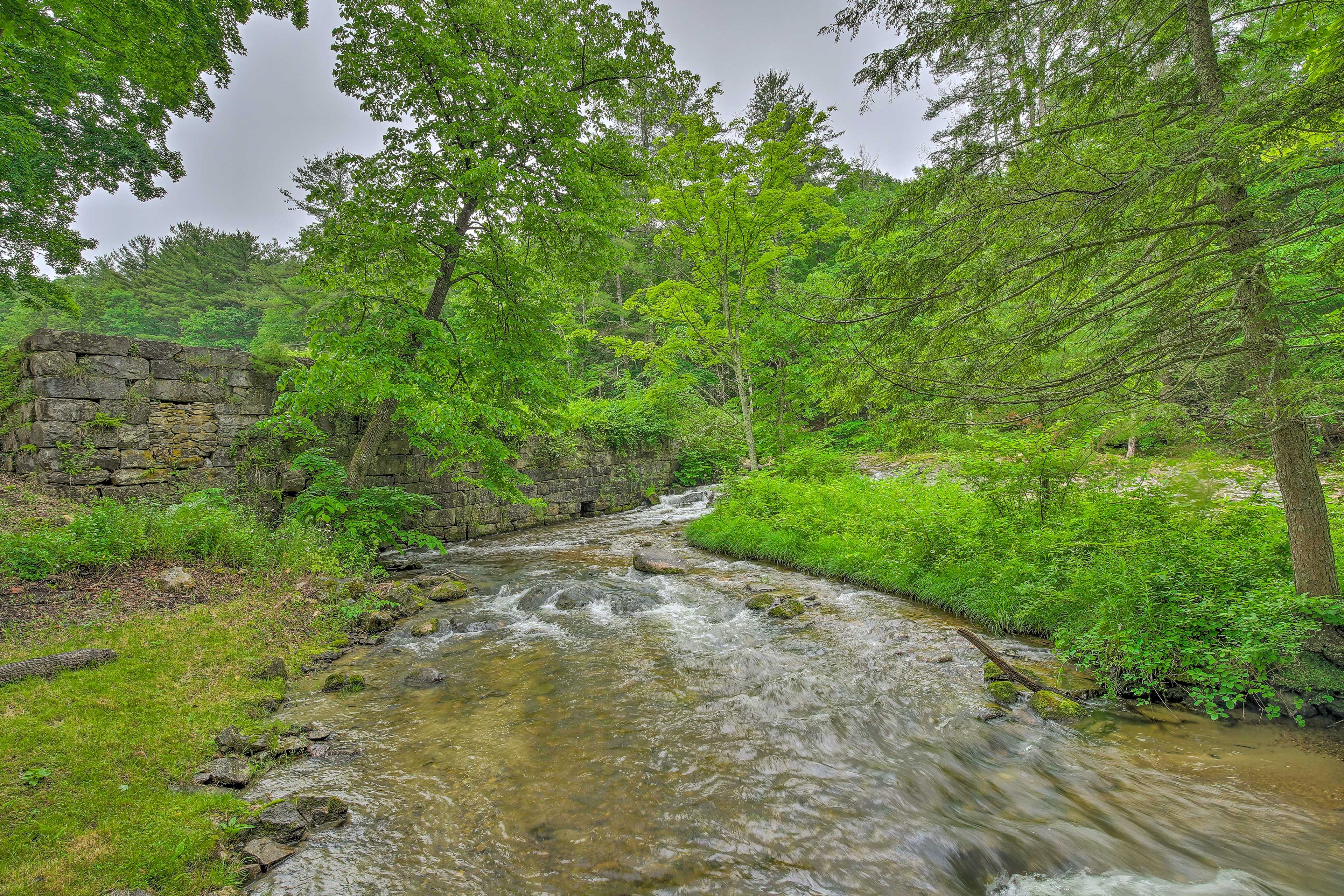 Image 29