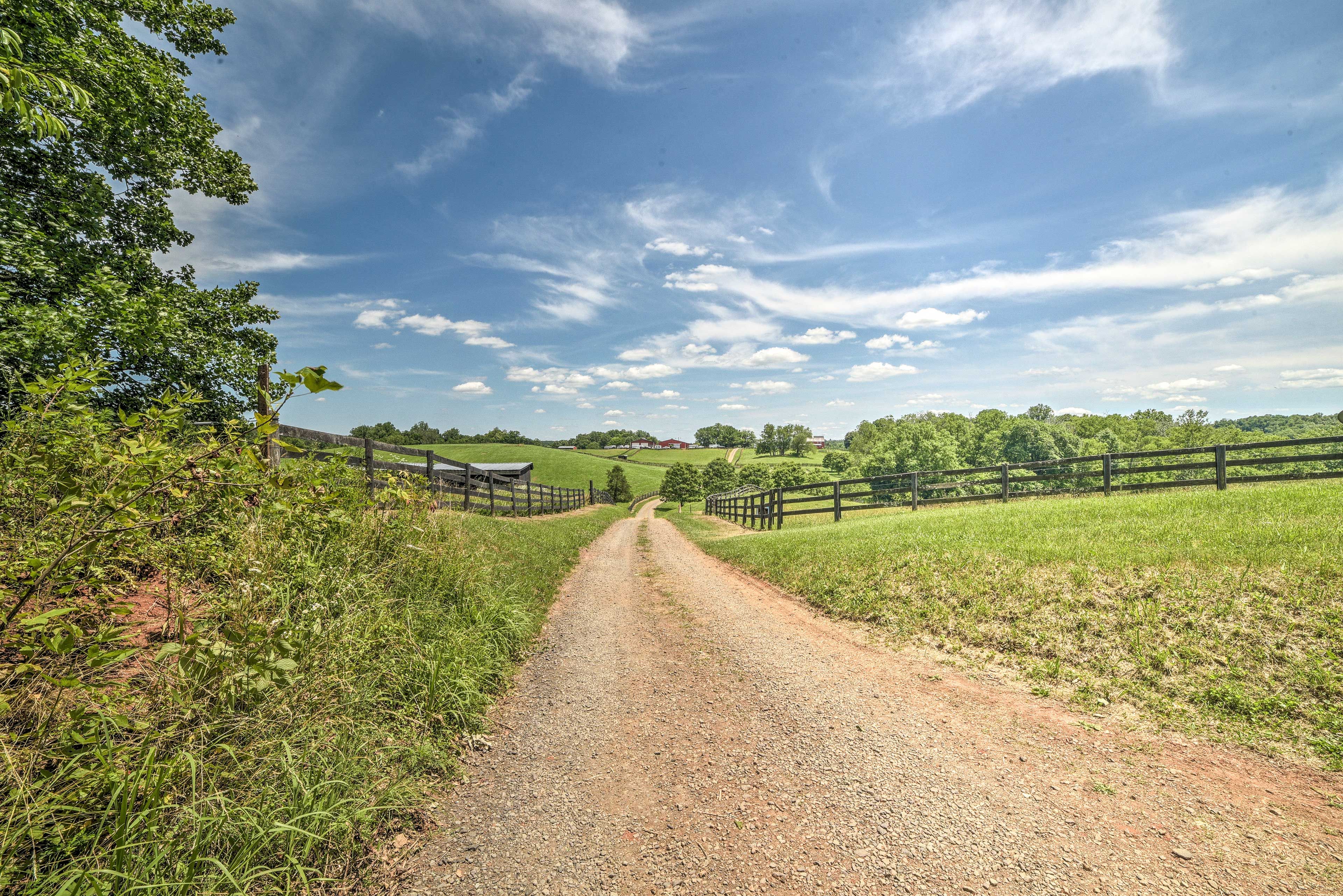 Image 26