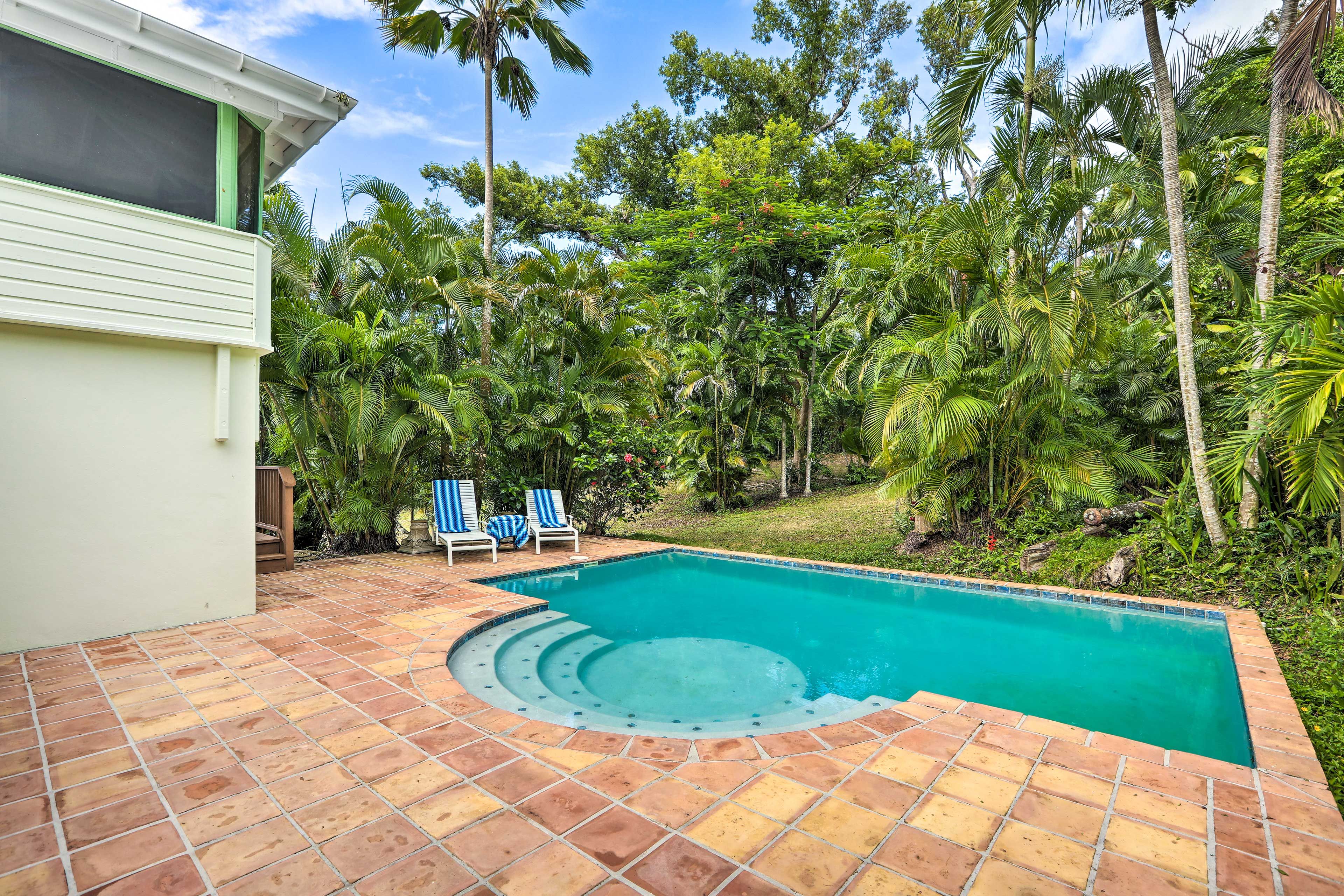 Summertime calls for a day in the pool!