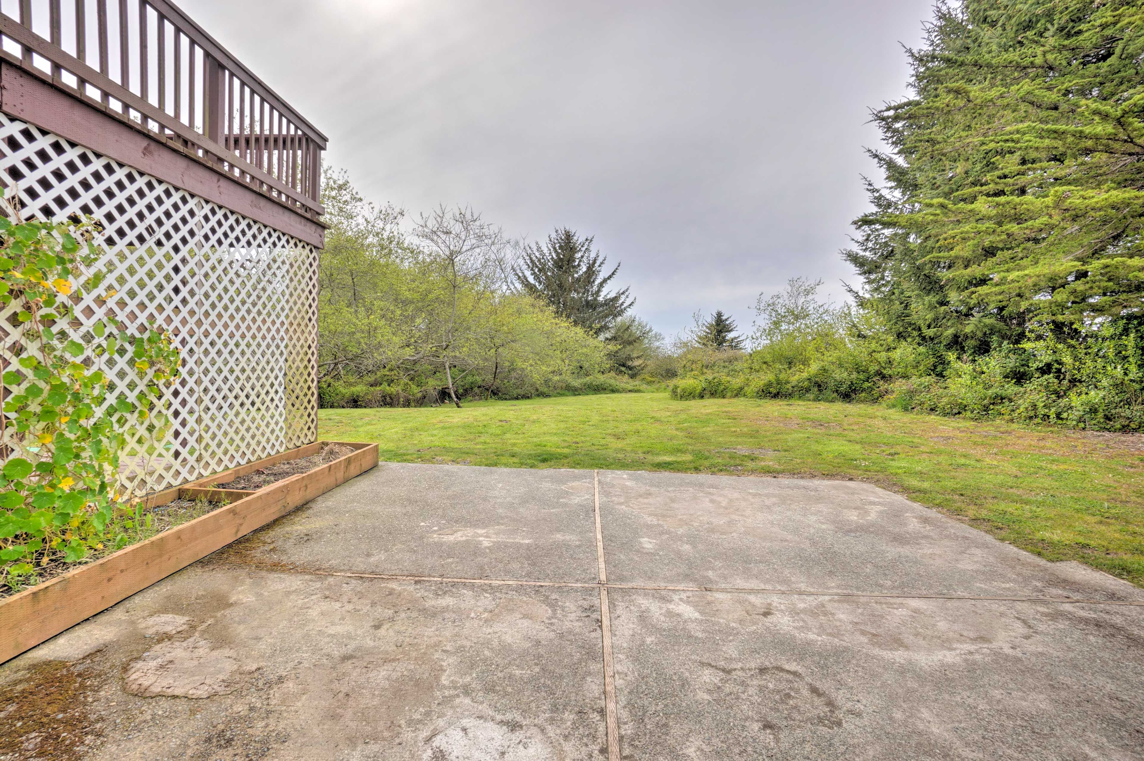 Backyard