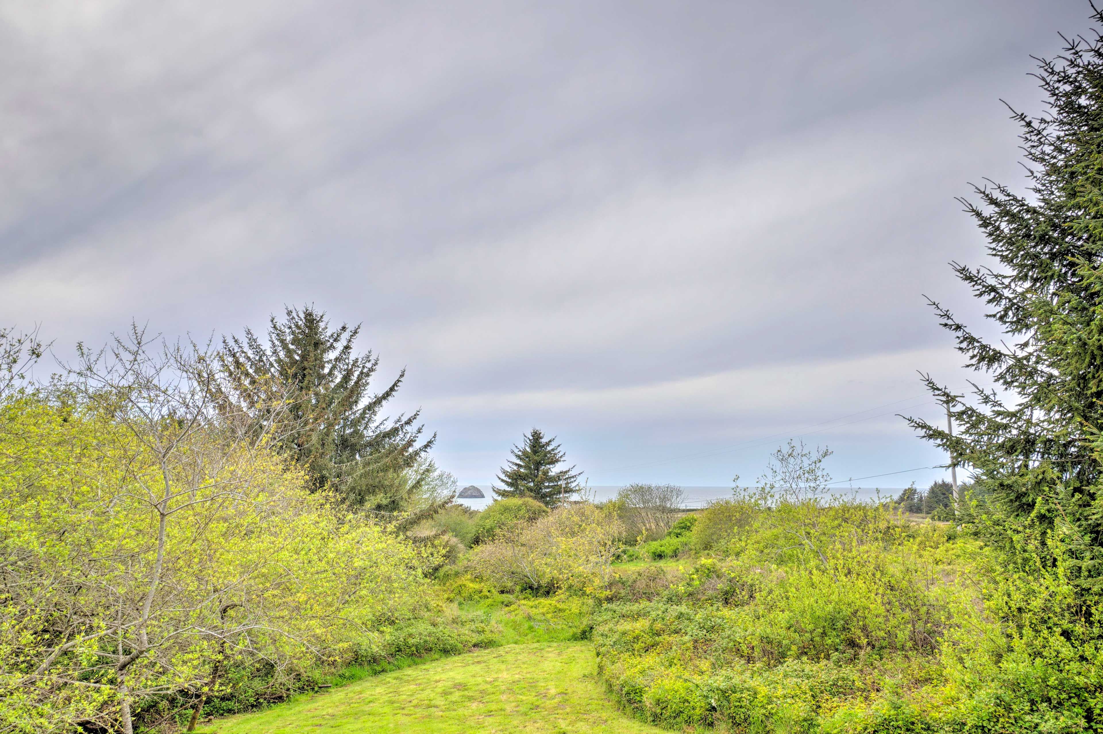 Surrounding Nature