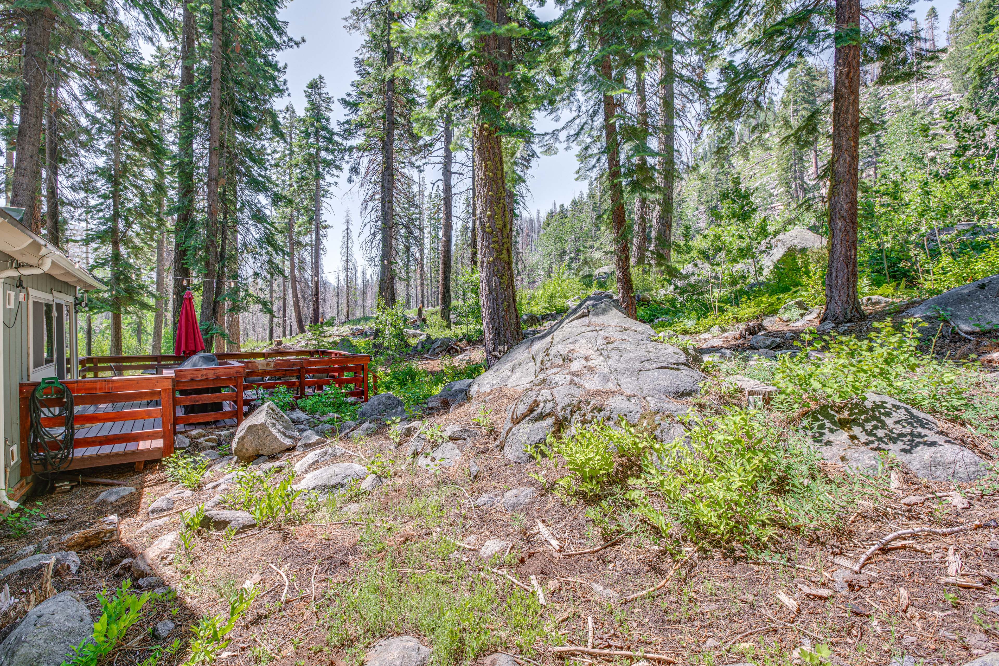 Exterior | Forest Setting