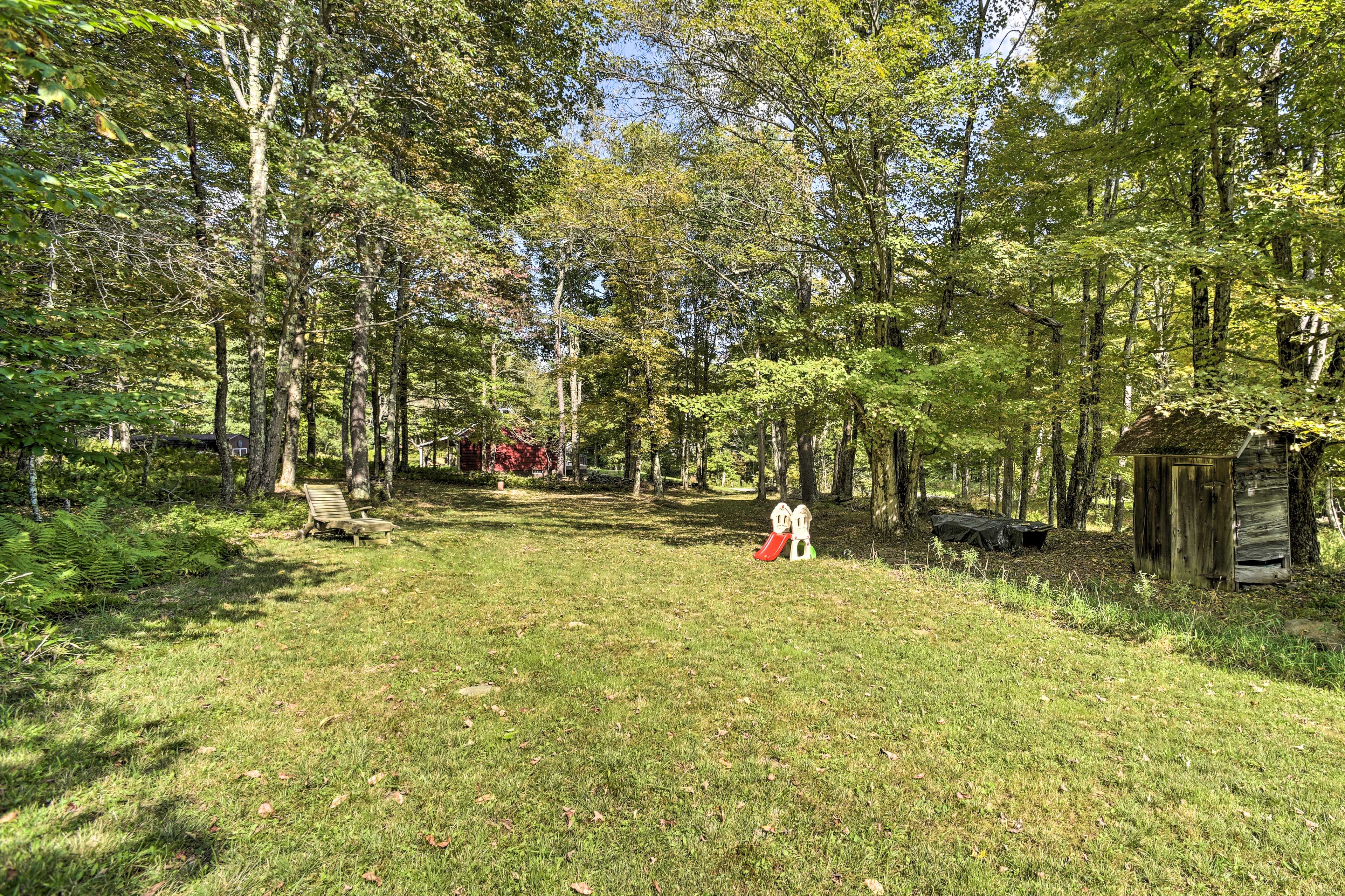 Back Yard