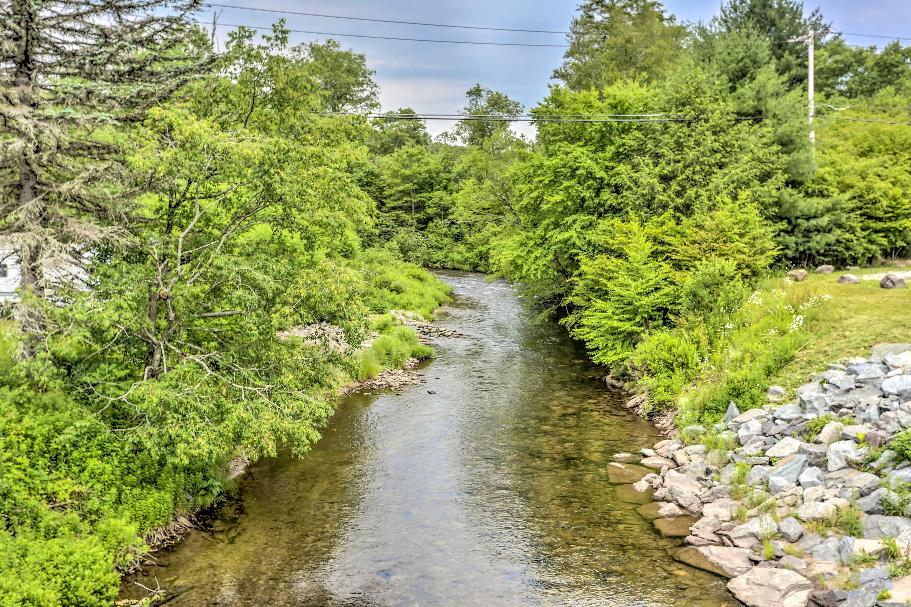 Nearby Stream