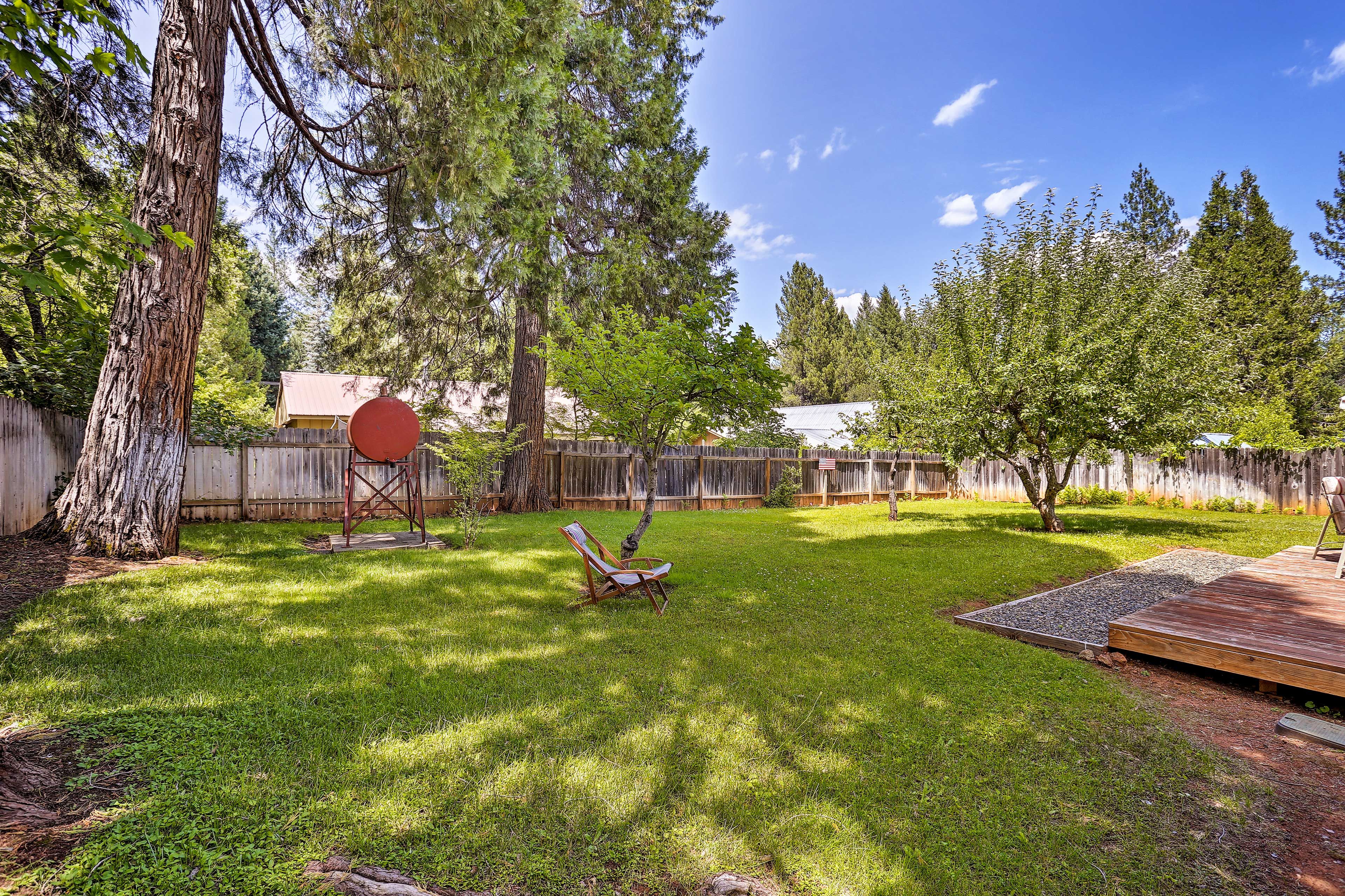 Backyard