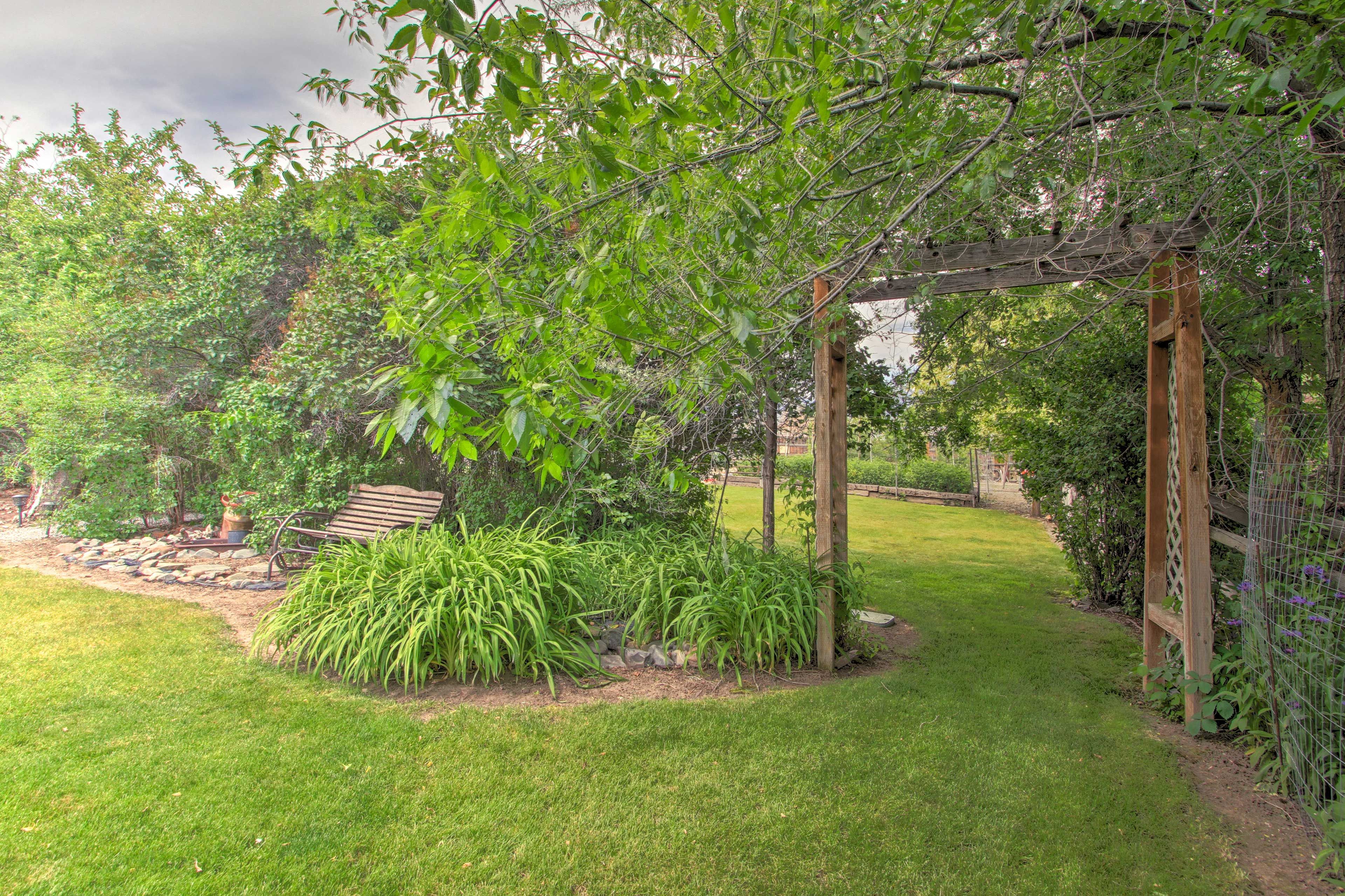 Spacious Backyard