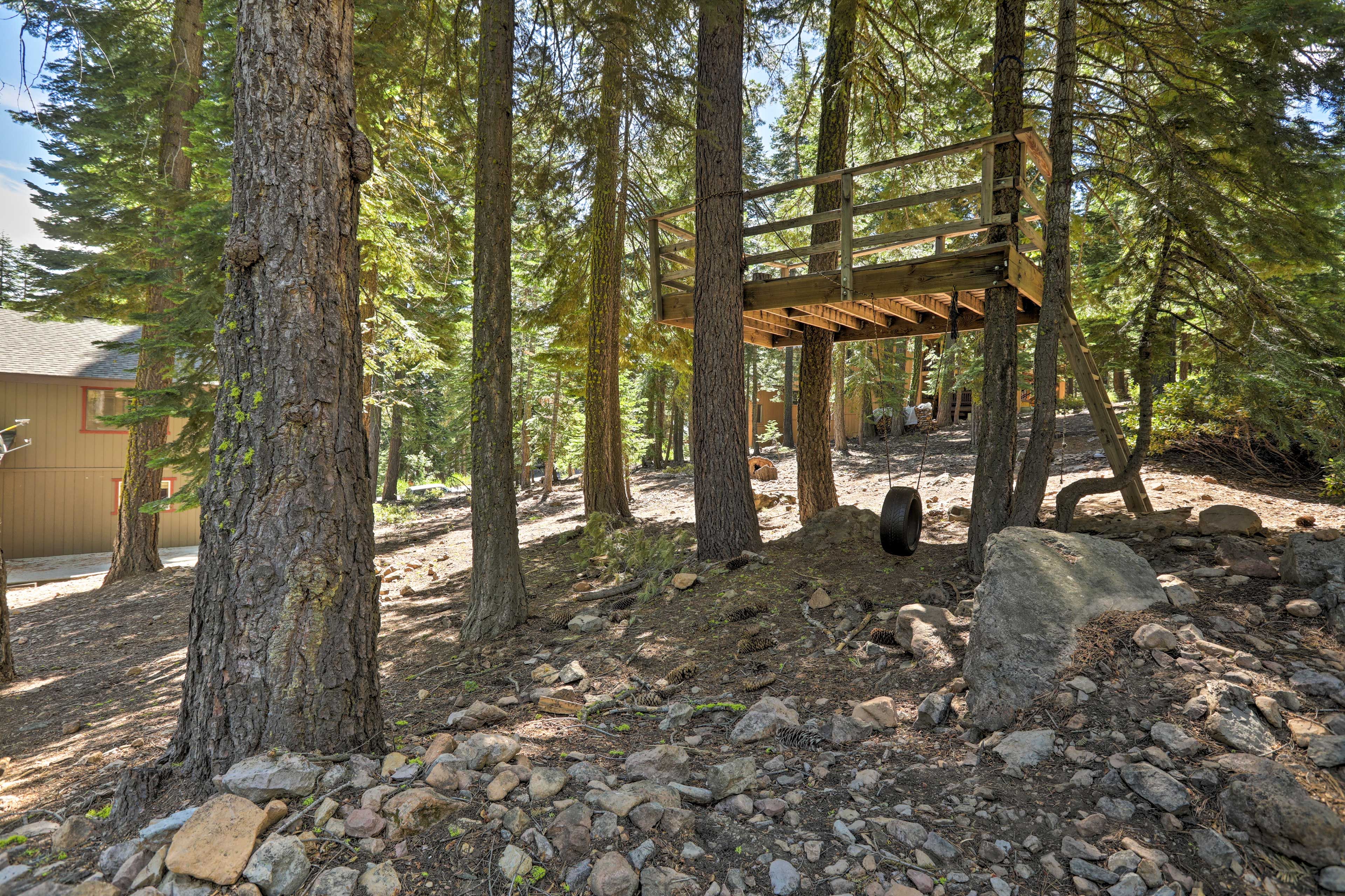 Treehouse