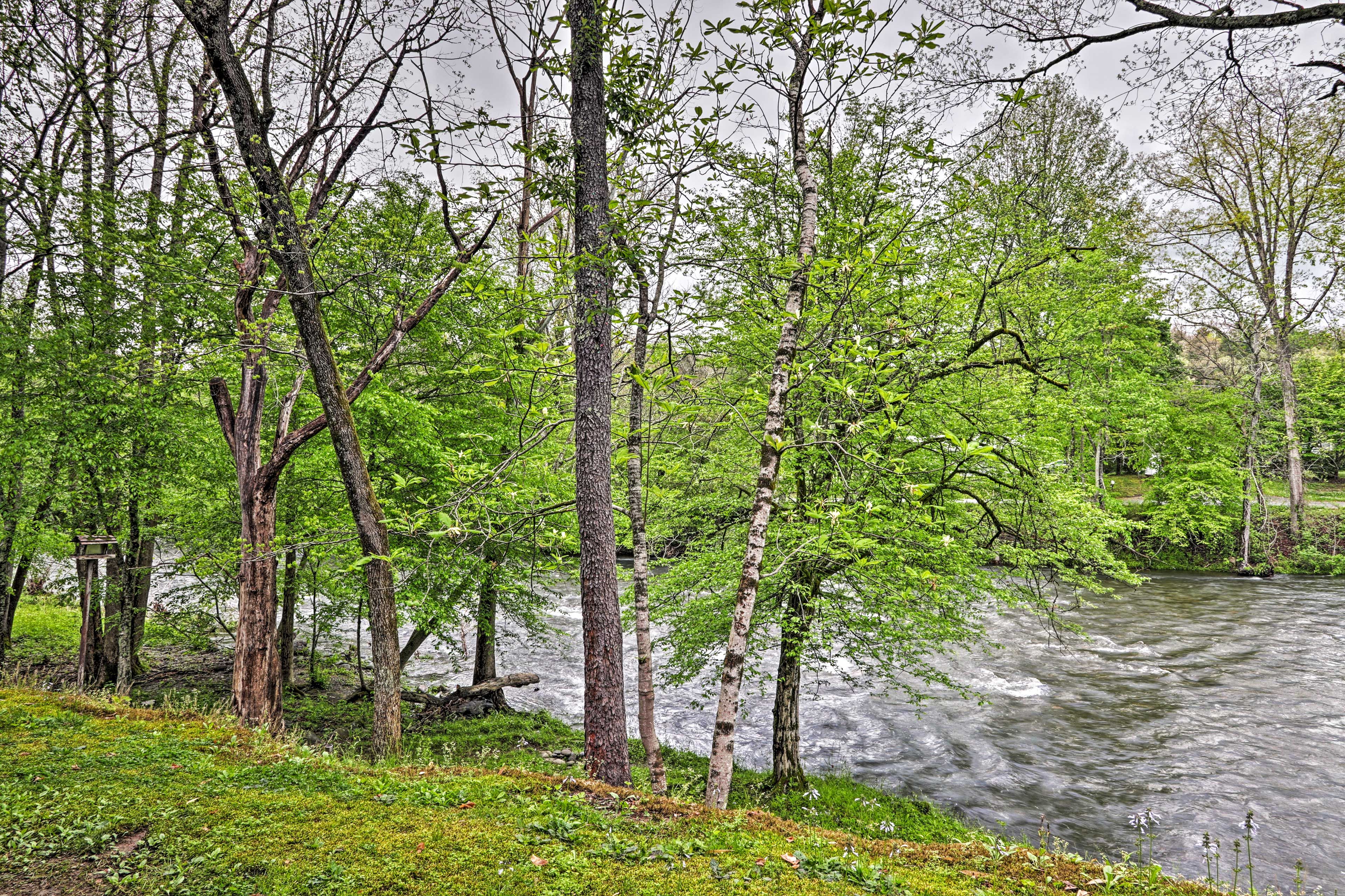 Little River
