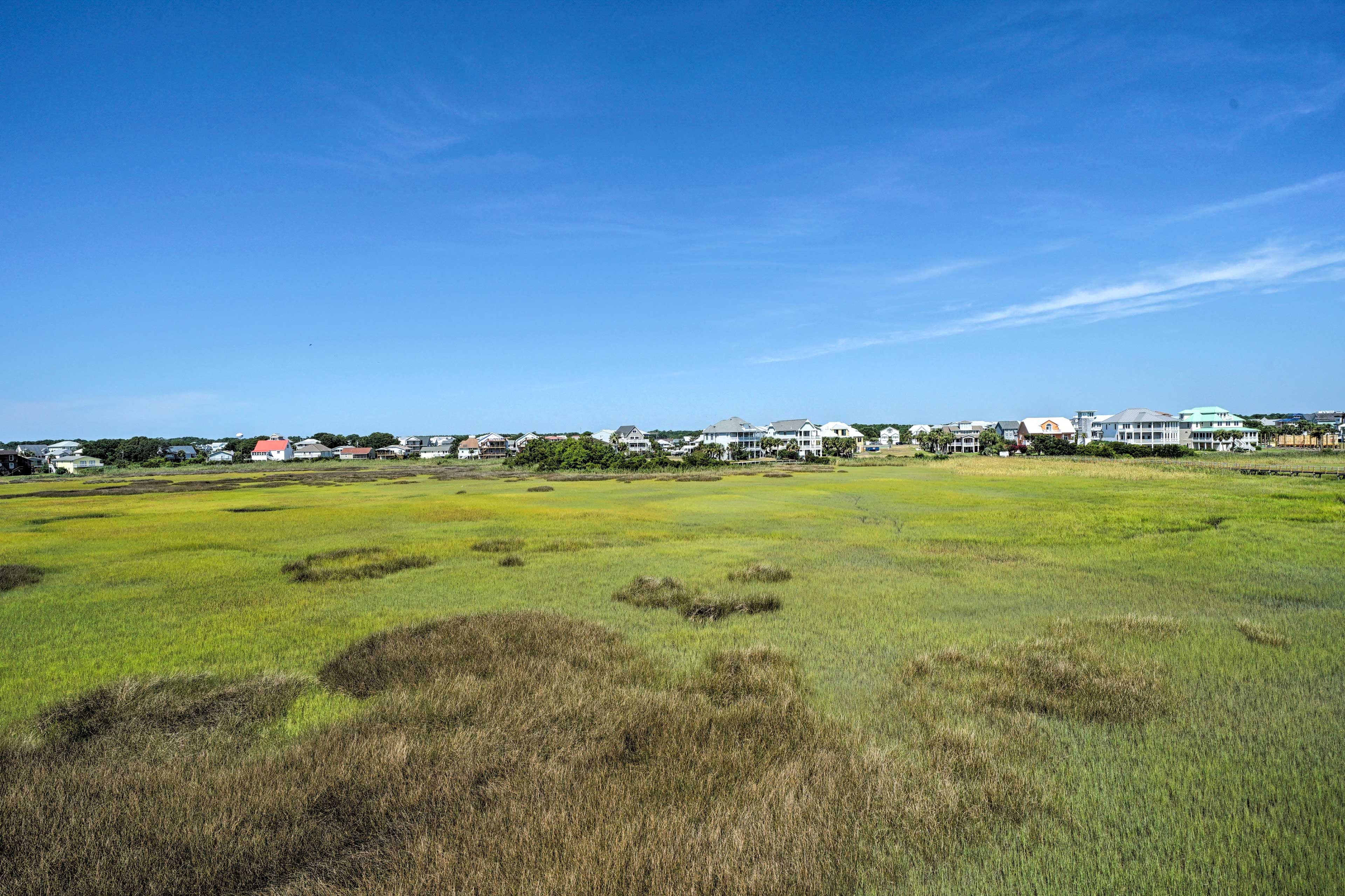 Enjoy the calming colors of these expansive marshes.