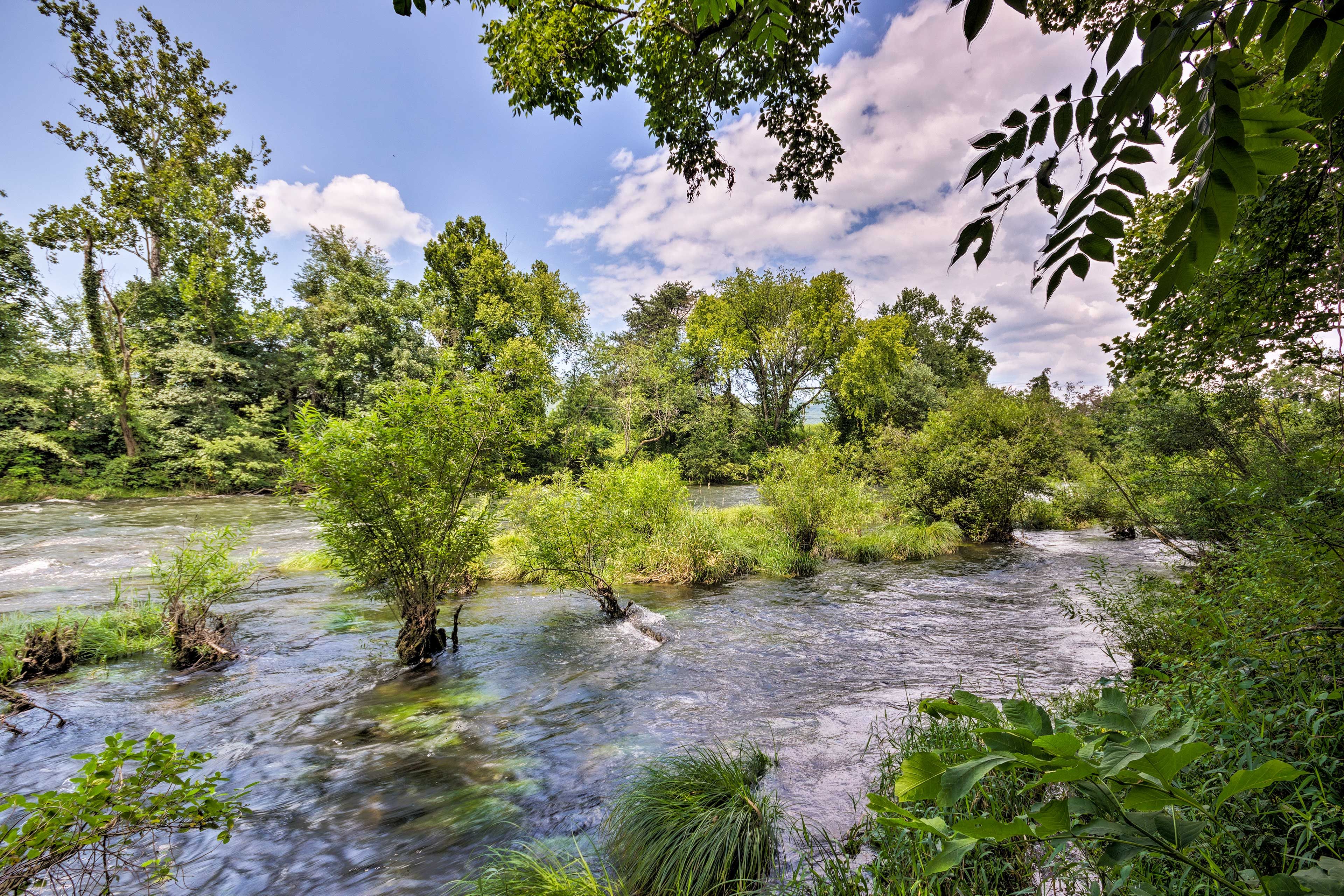 Walk to the Watauga River