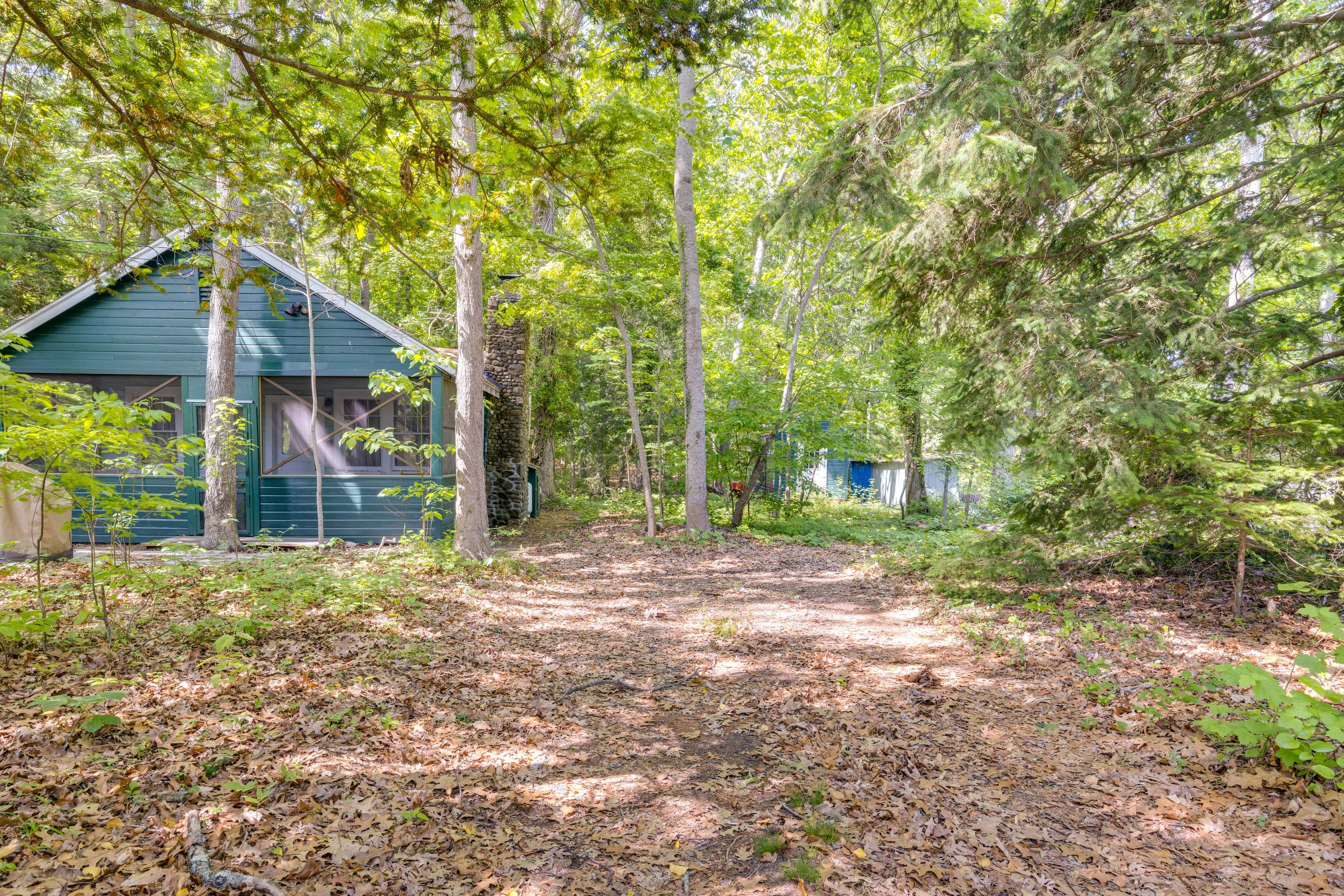 Path to Cottage