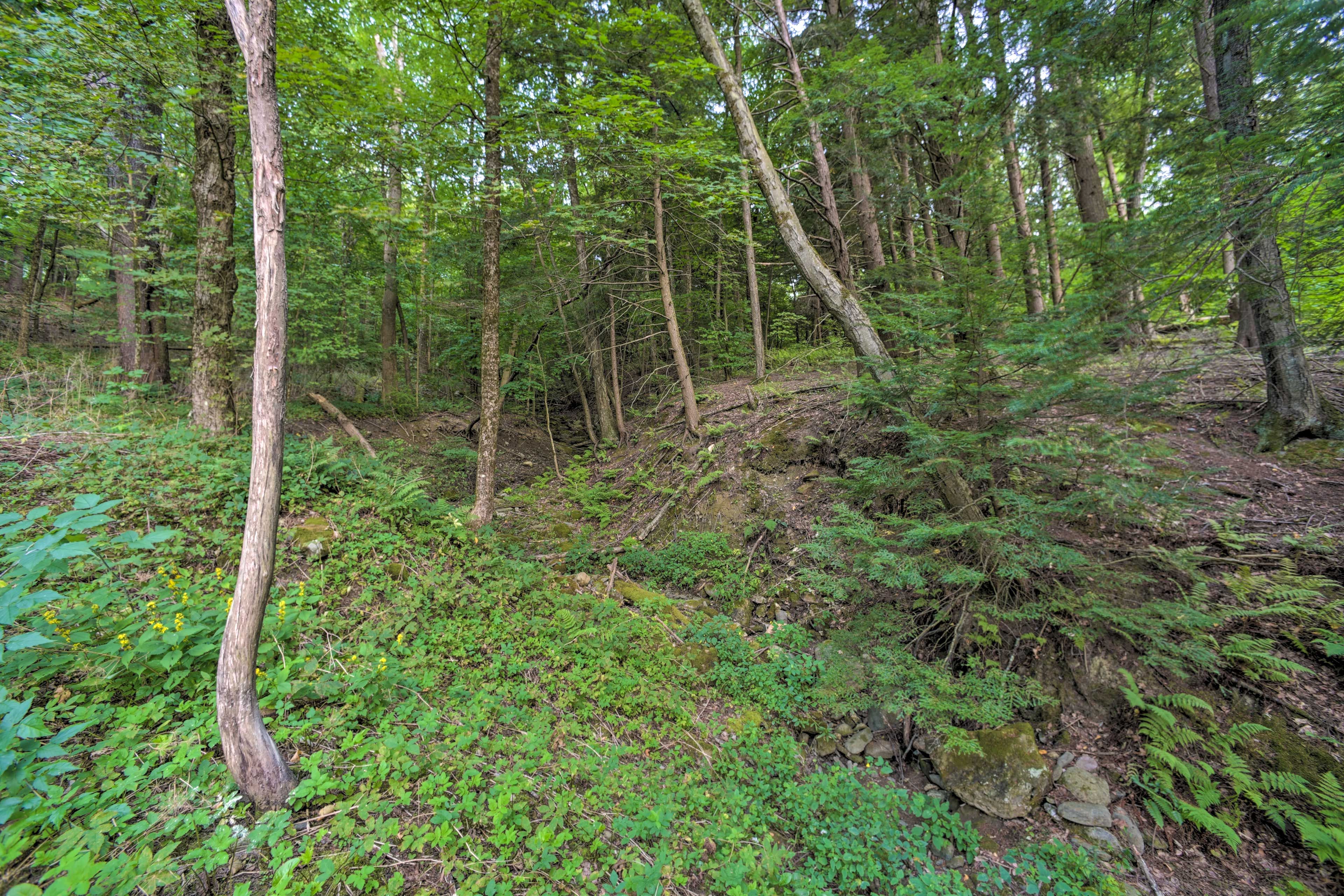 Surrounding Area
