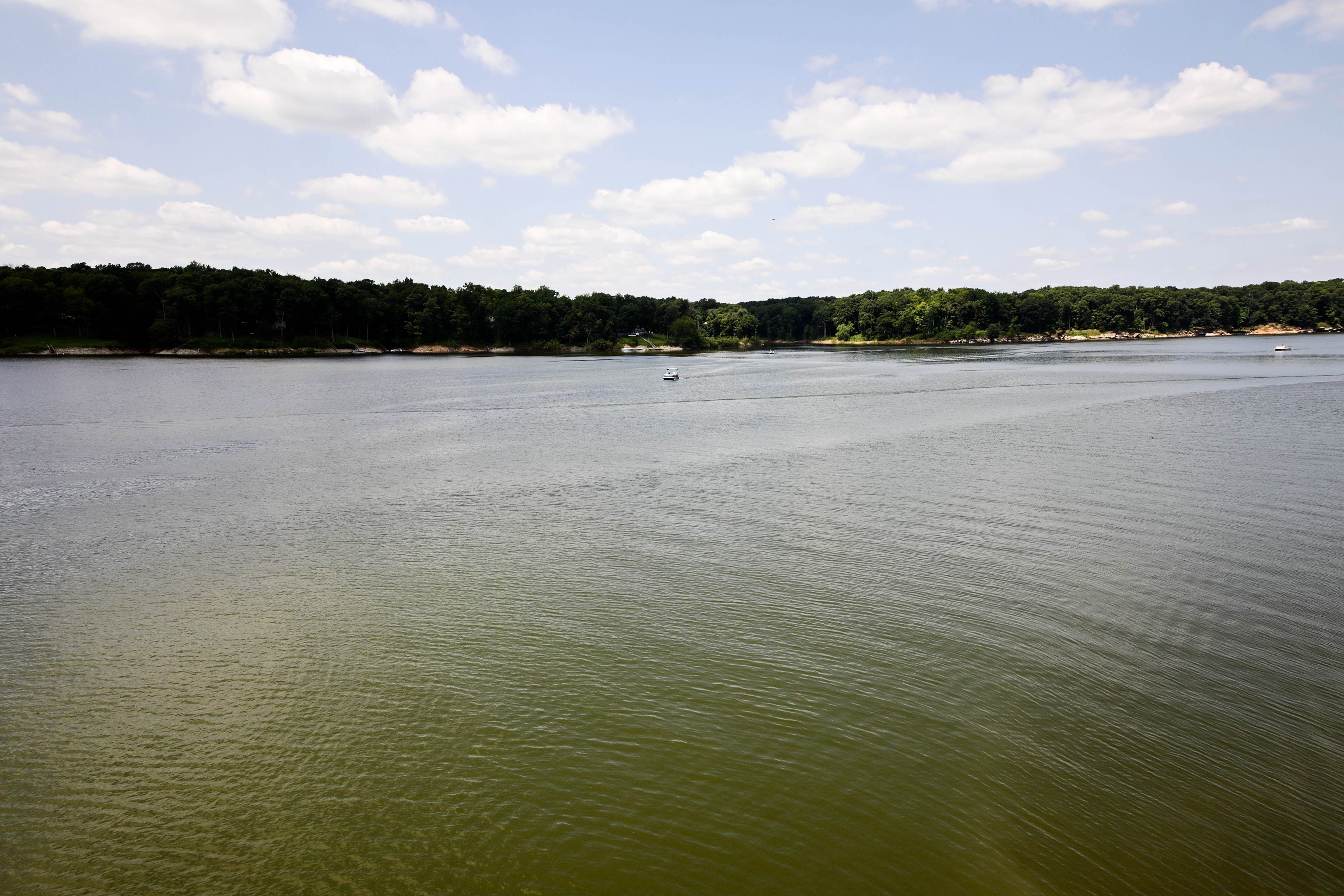See what kind of fish you can catch!