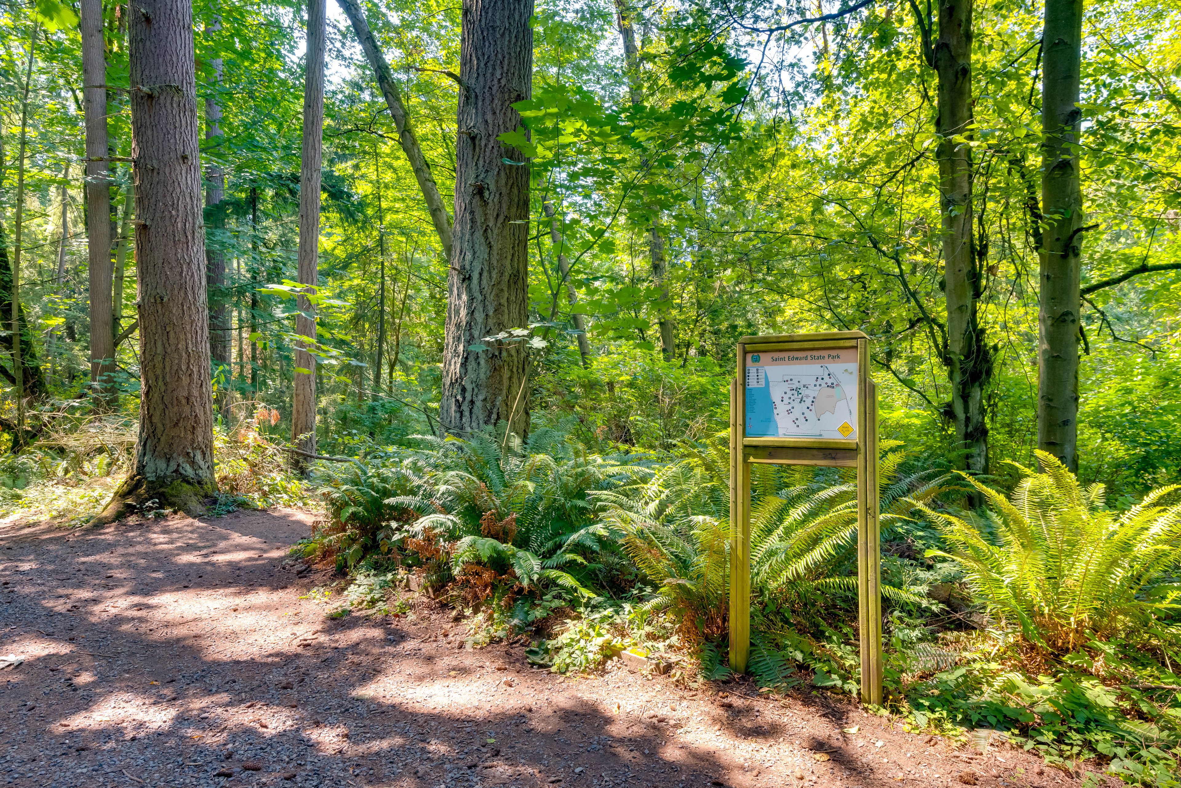 Hiking Trails Nearby