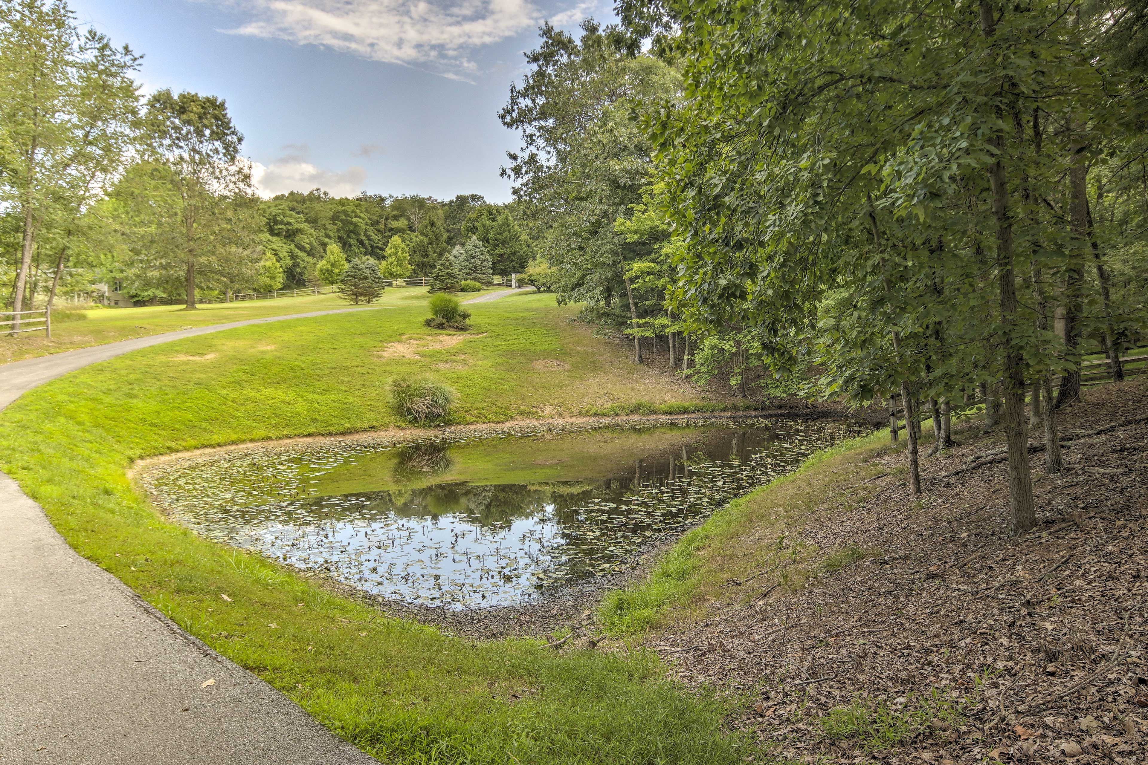 On-Site Pond