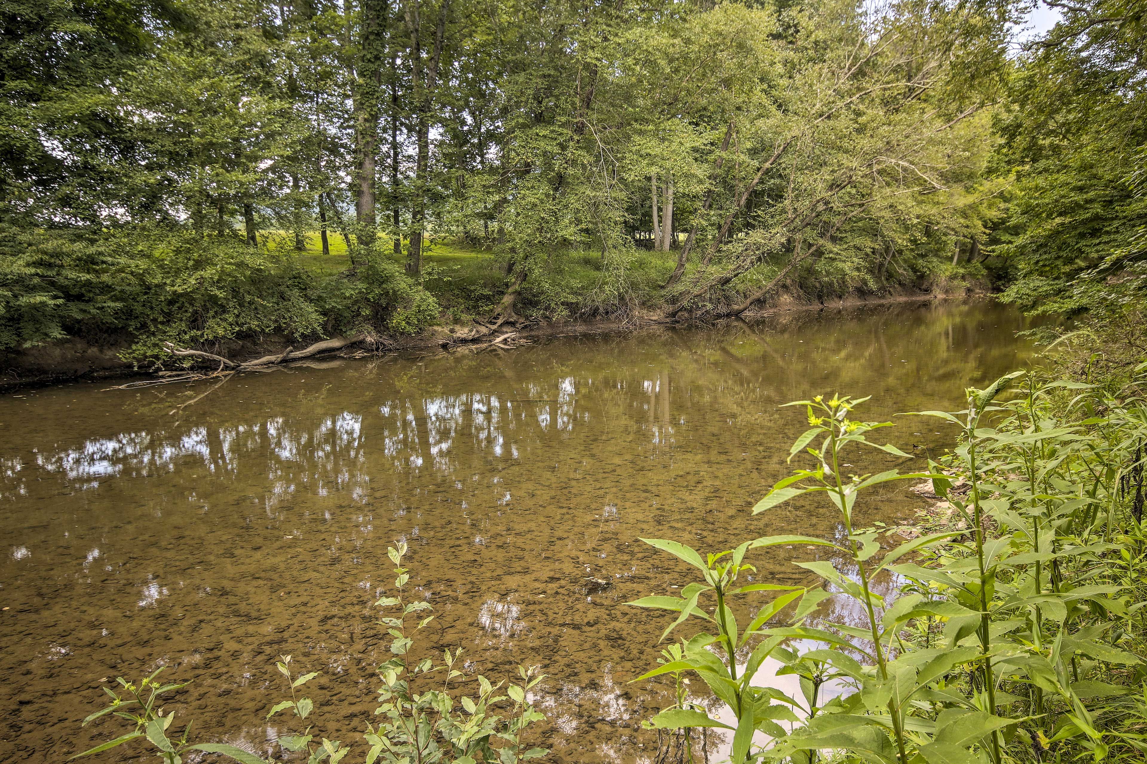 On-Site Creek