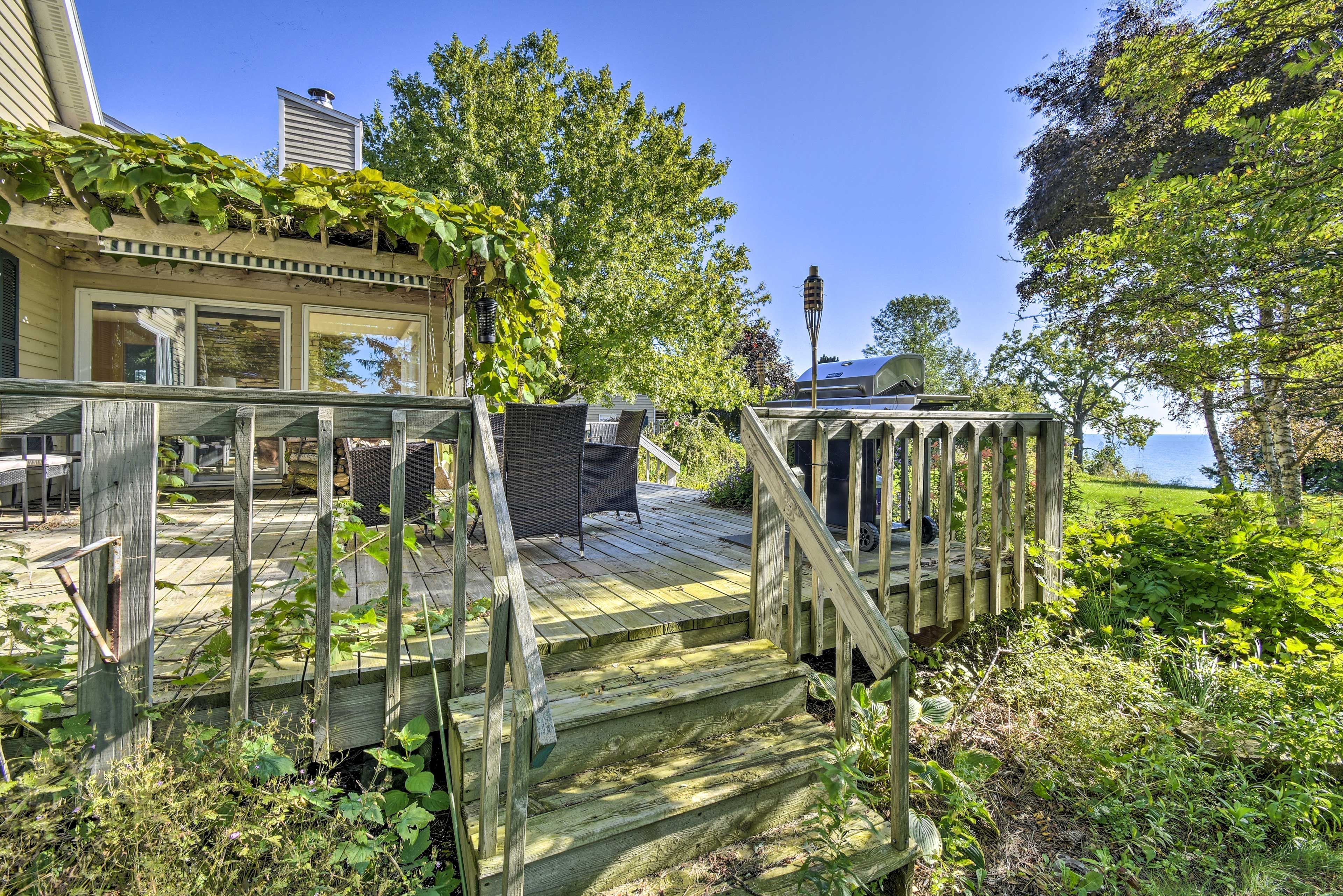 Deck | Gas Grill