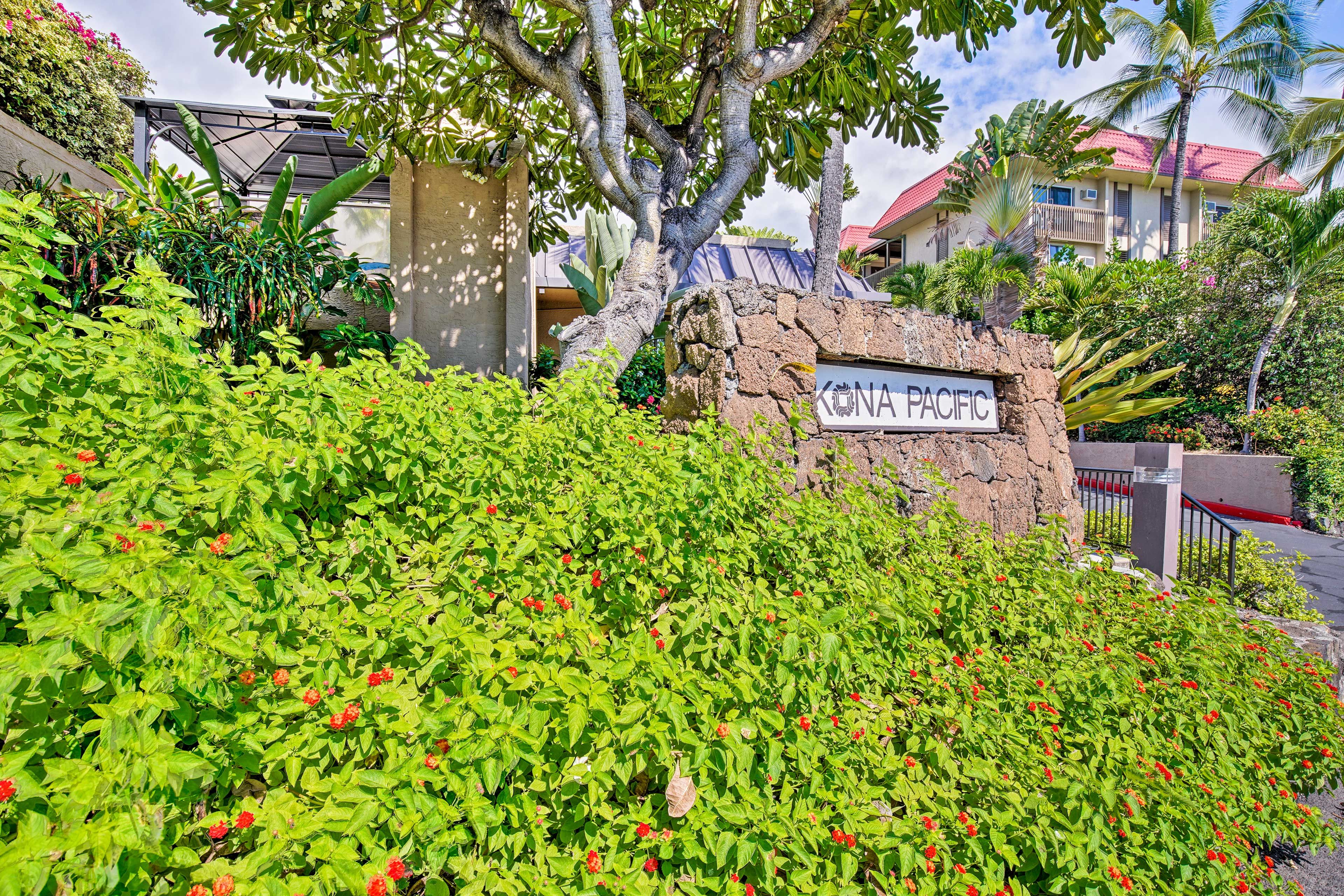 Kona Pacific Condiminium