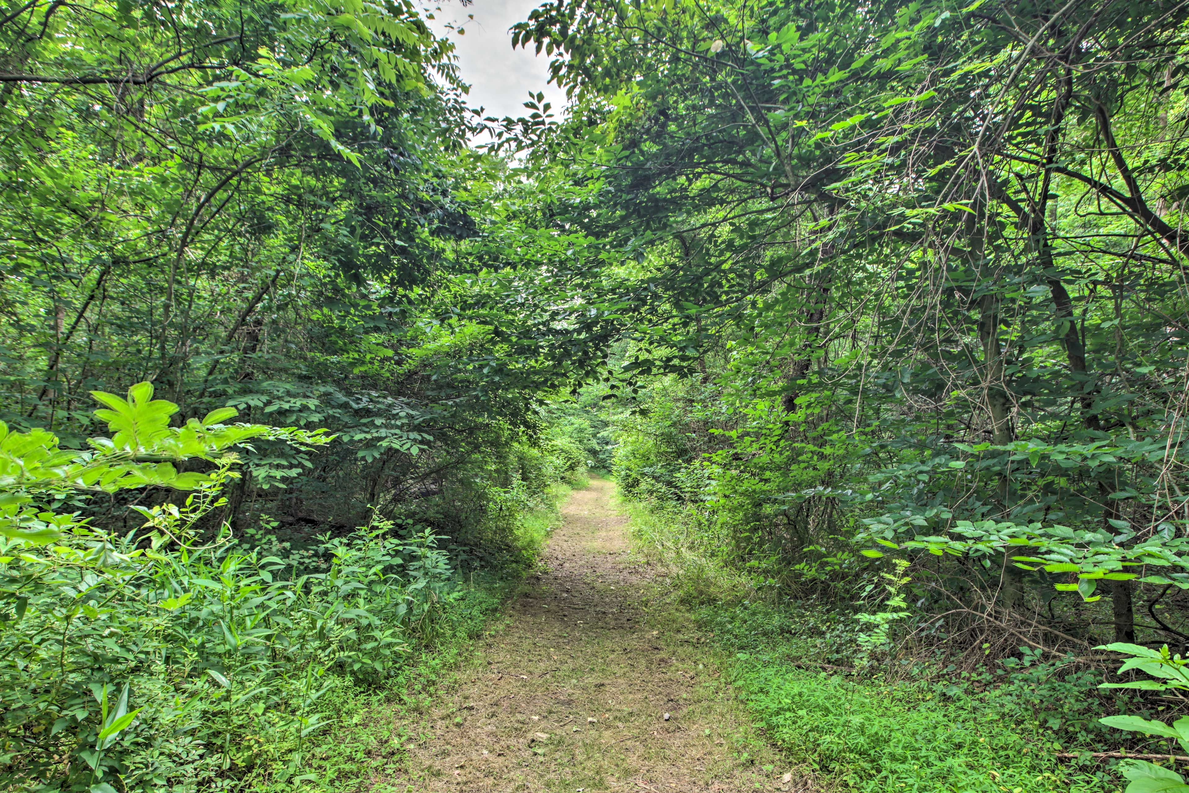 Wooded Surroundings
