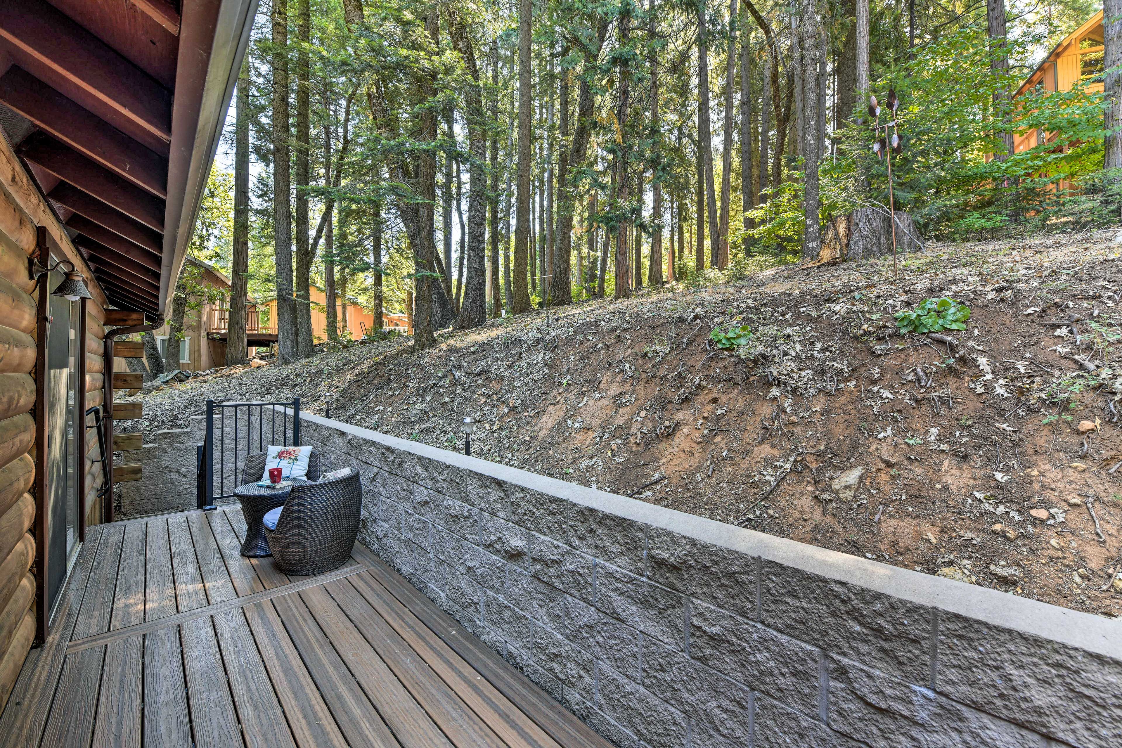 Back Deck