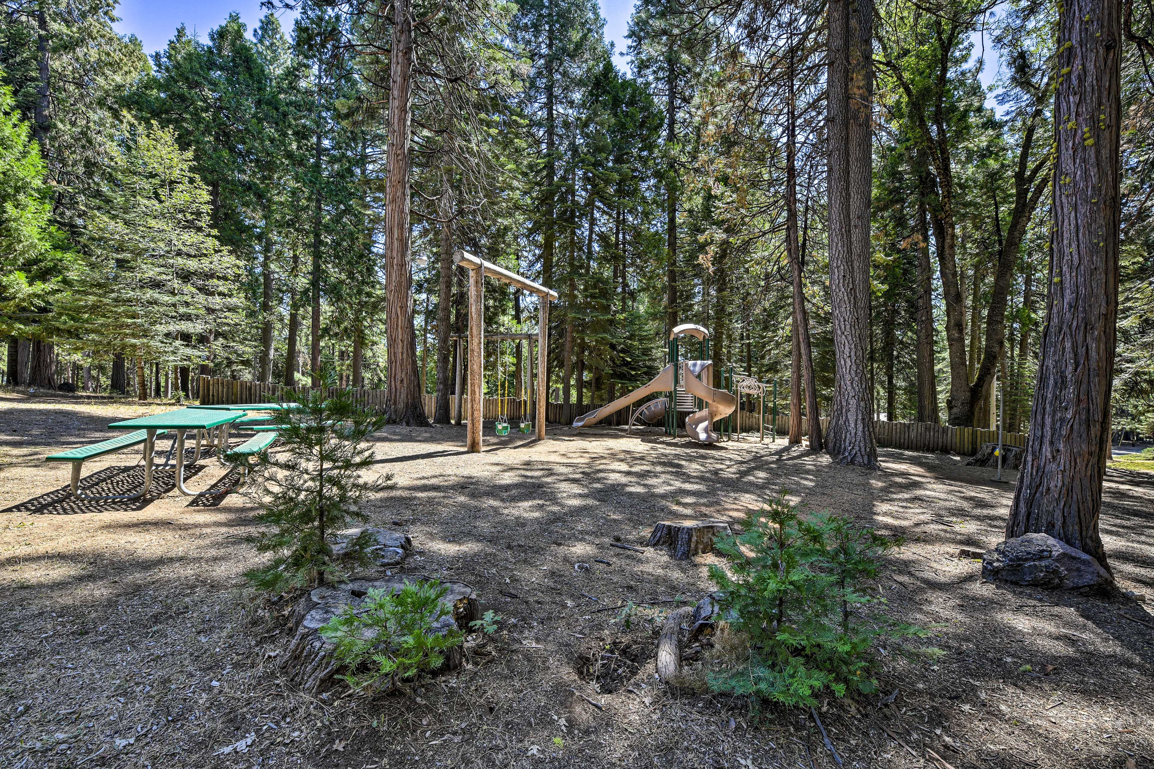 Community Amenities | Playground | Disc Golf Course