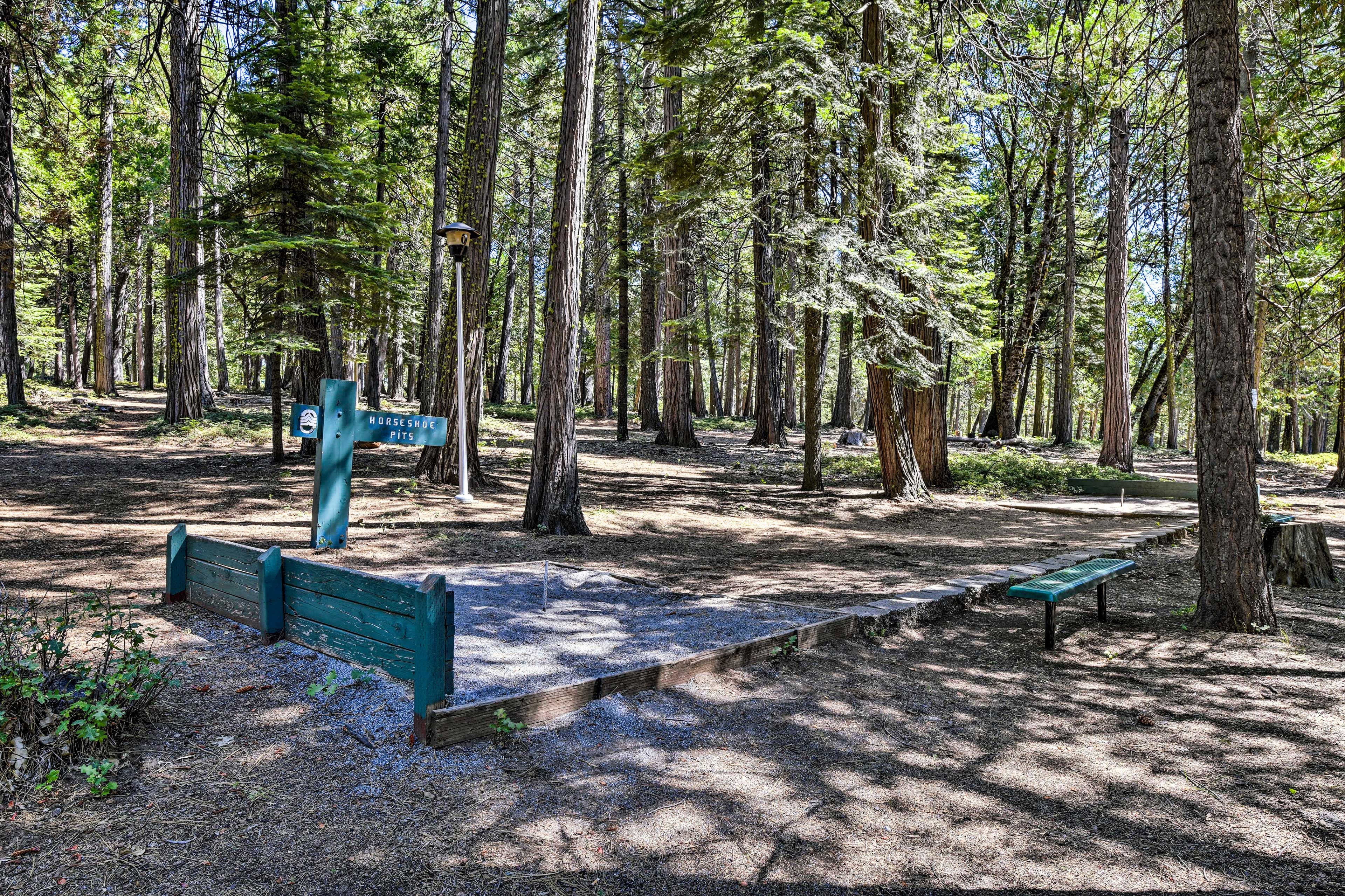 Community Amenities | Horseshoes