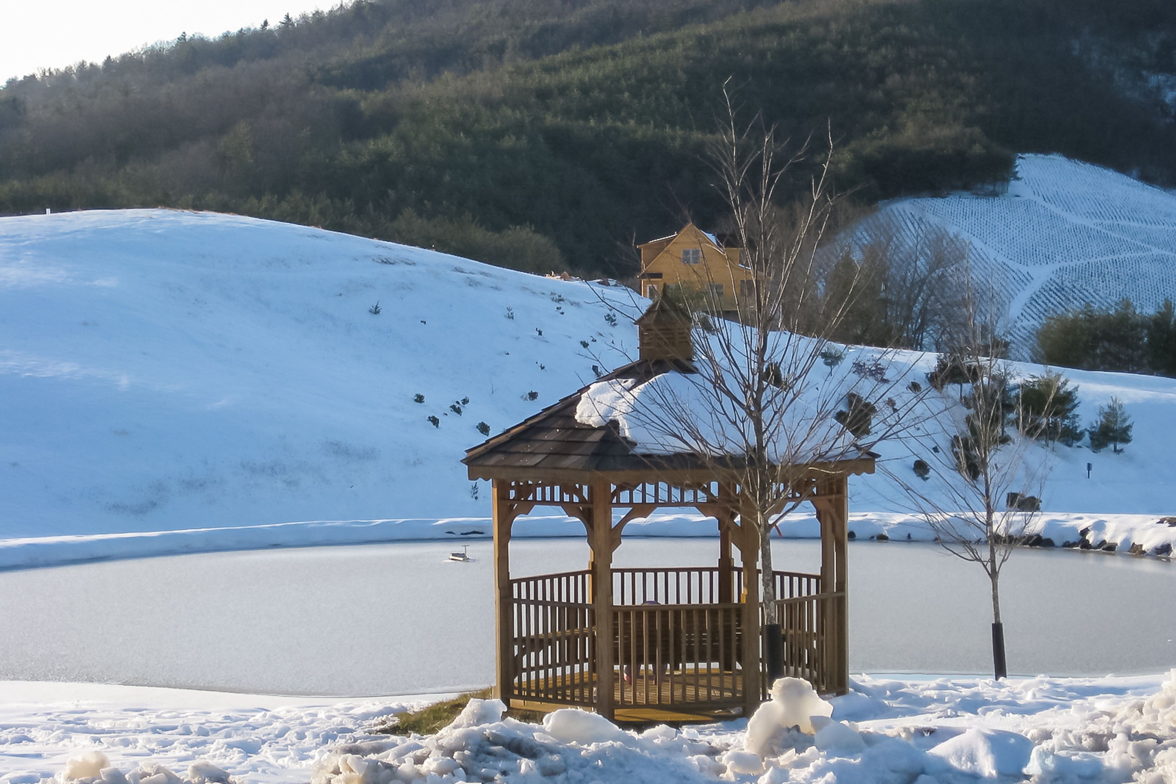 Cedar Crossing Community | Community Amenities | Pond | Gazebo