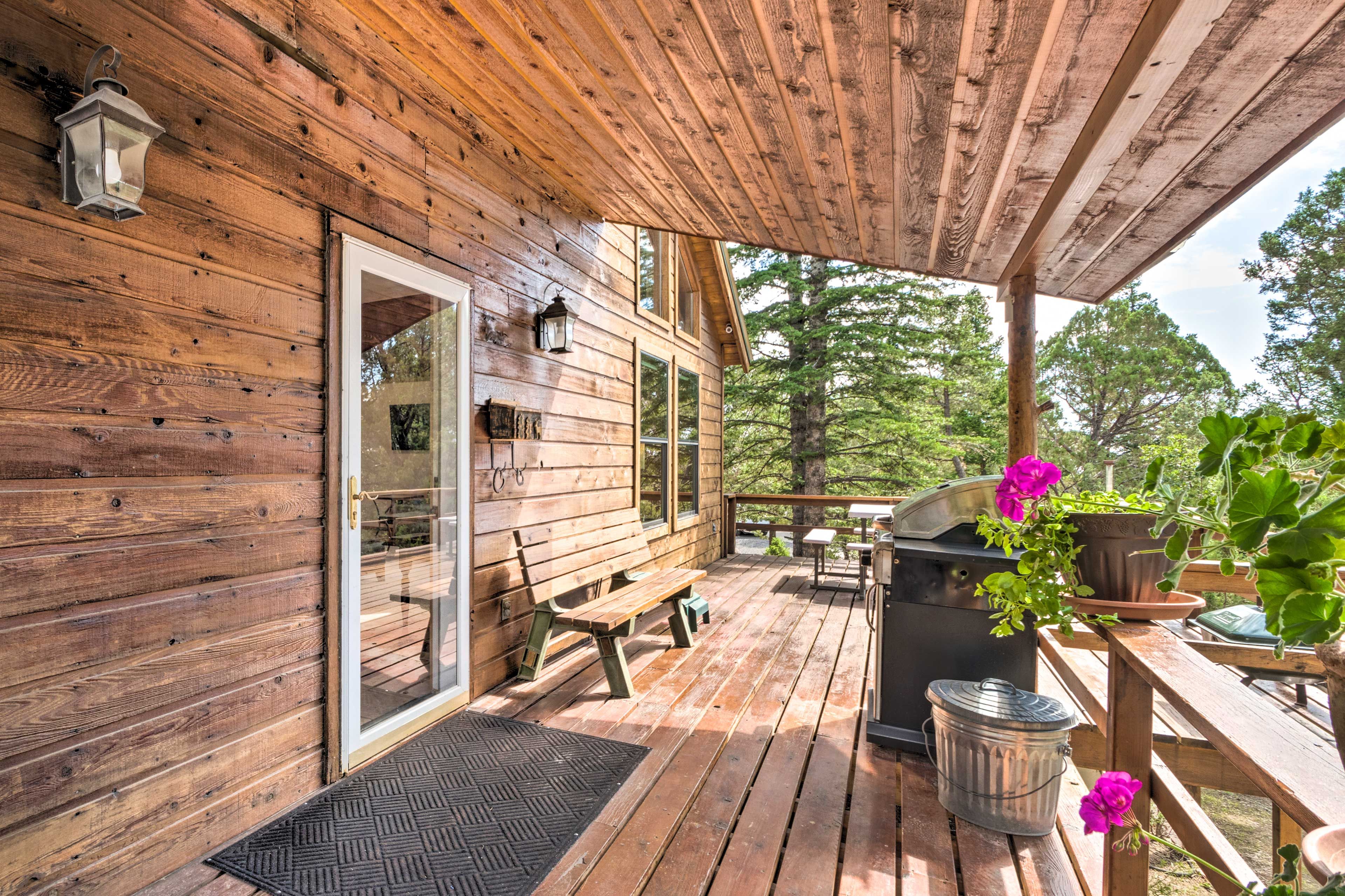 Furnished Deck | Outdoor Dining | Gas Grill