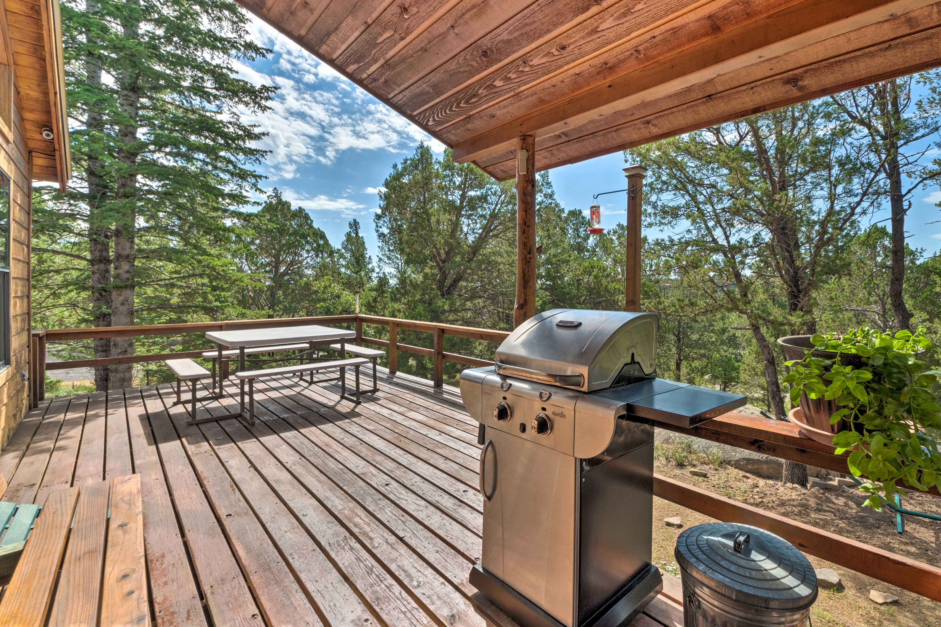 Deck | Grill | Forest Views