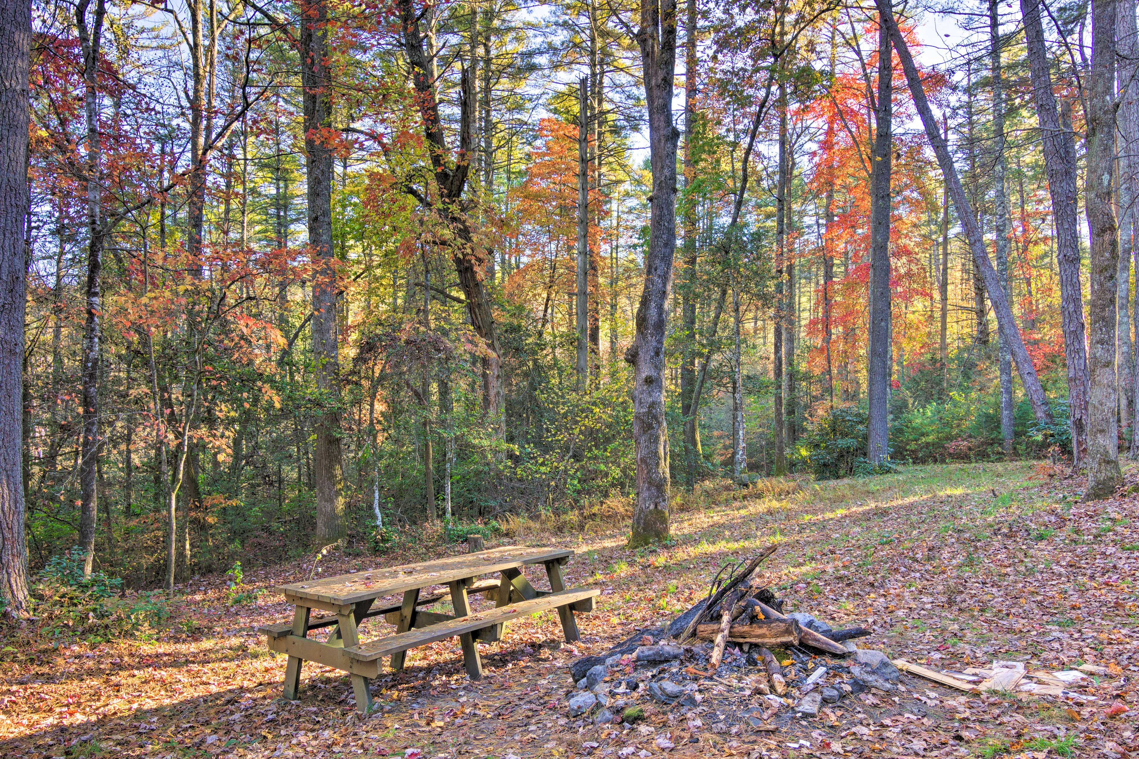 Front Yard | Picnic Table | Fire Pit