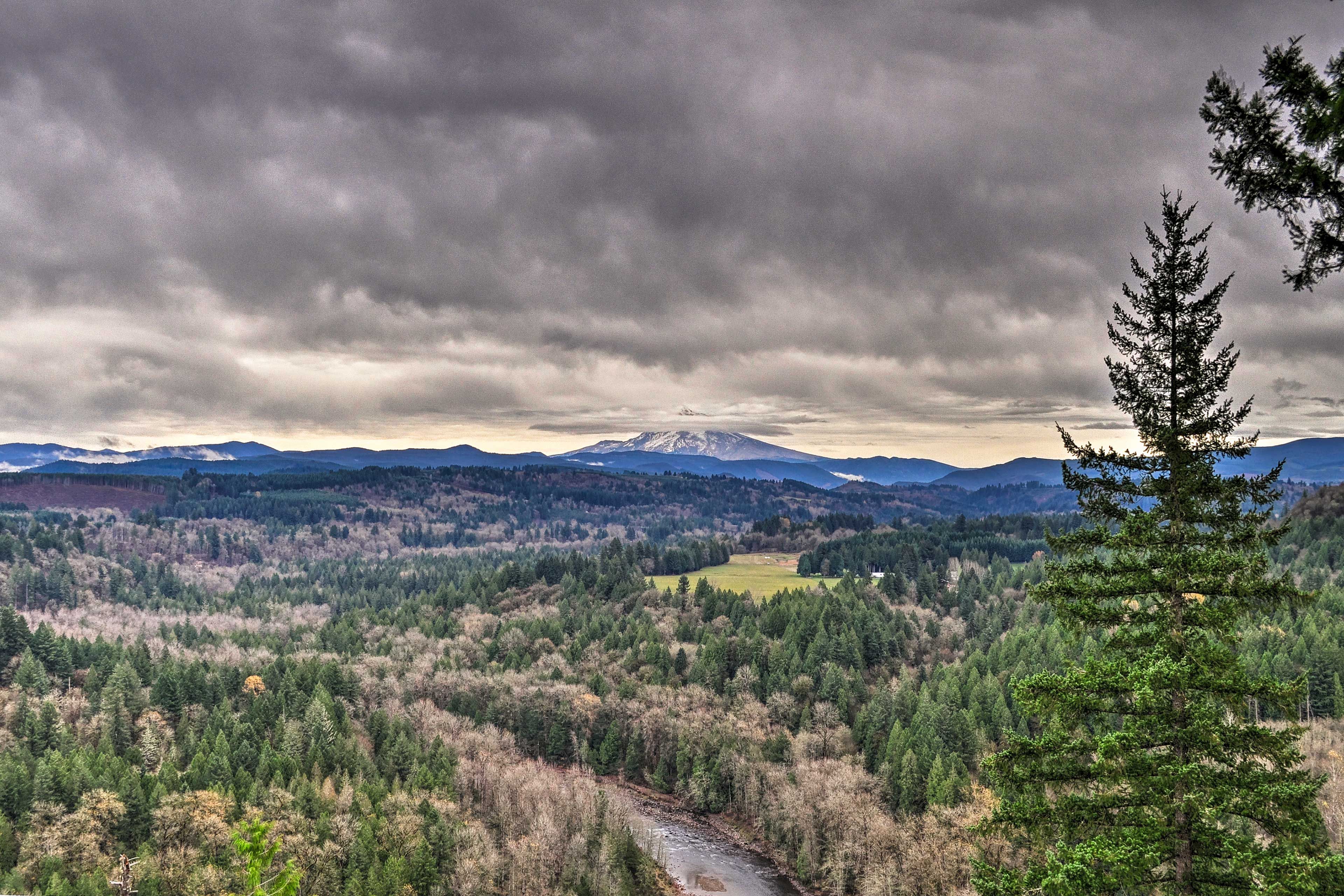 Property Views