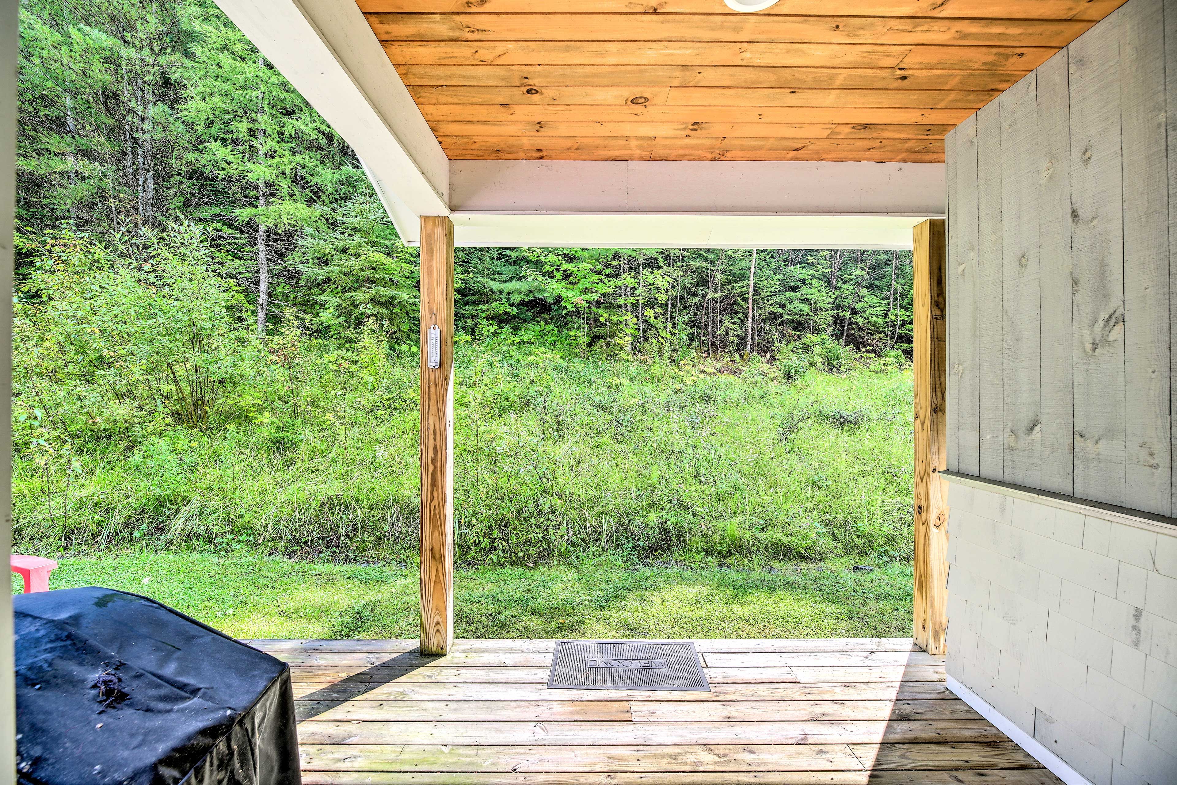 Enjoy the forest views.