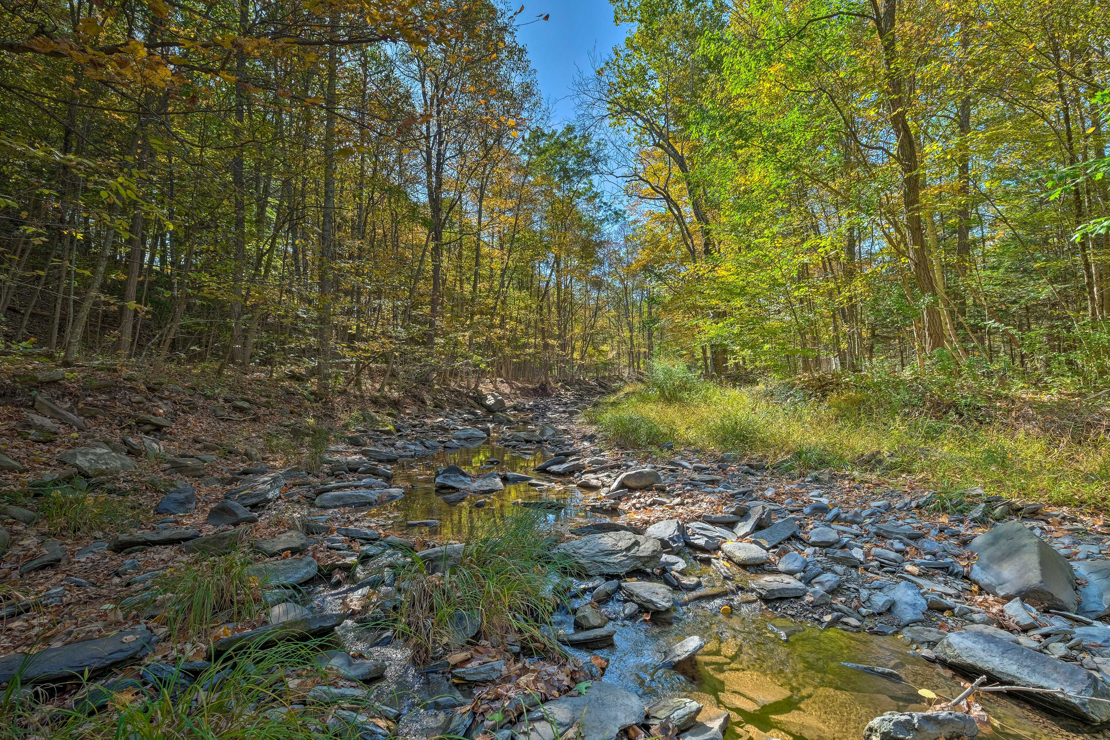 Creek On-Site