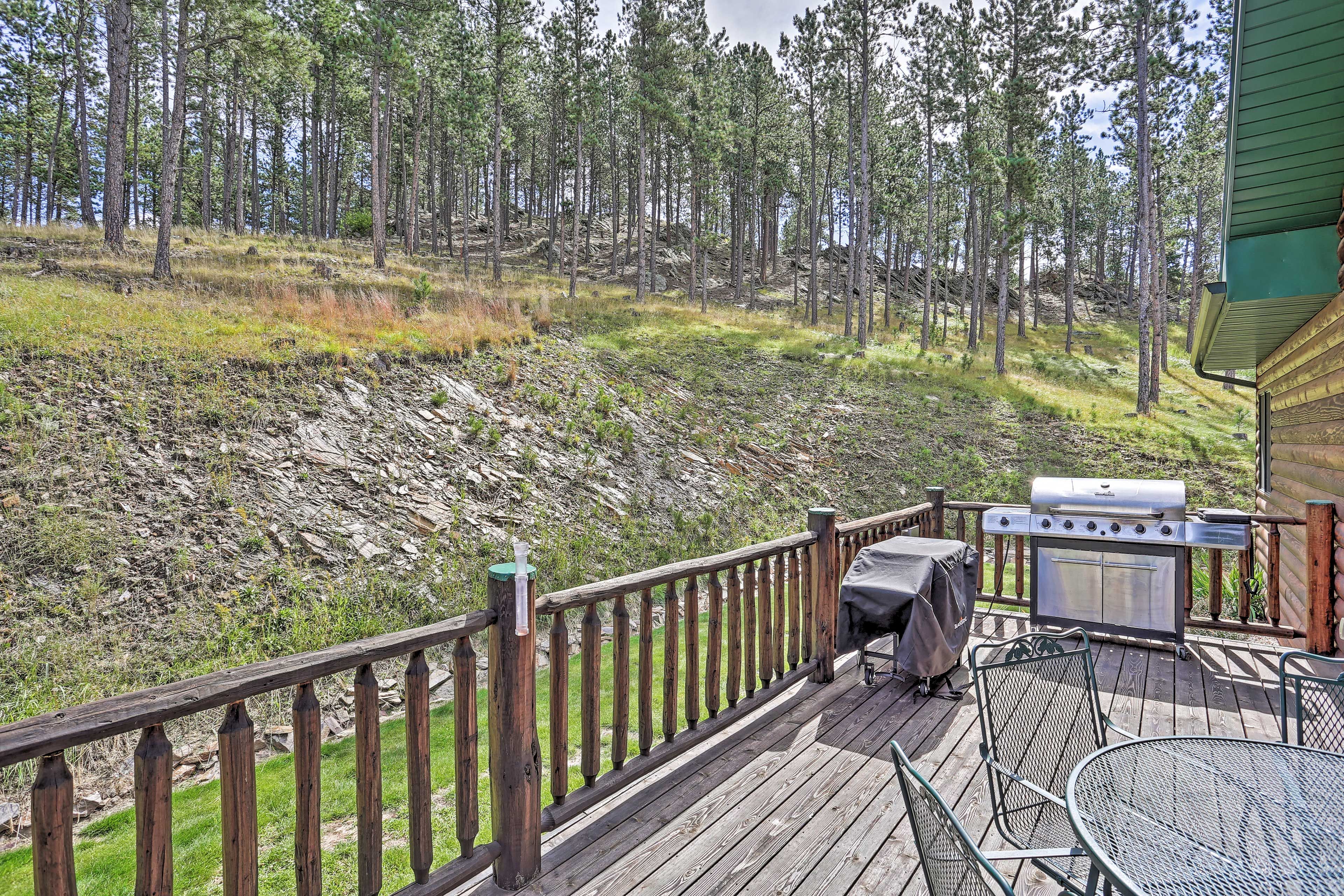 Deck | Gas Grill