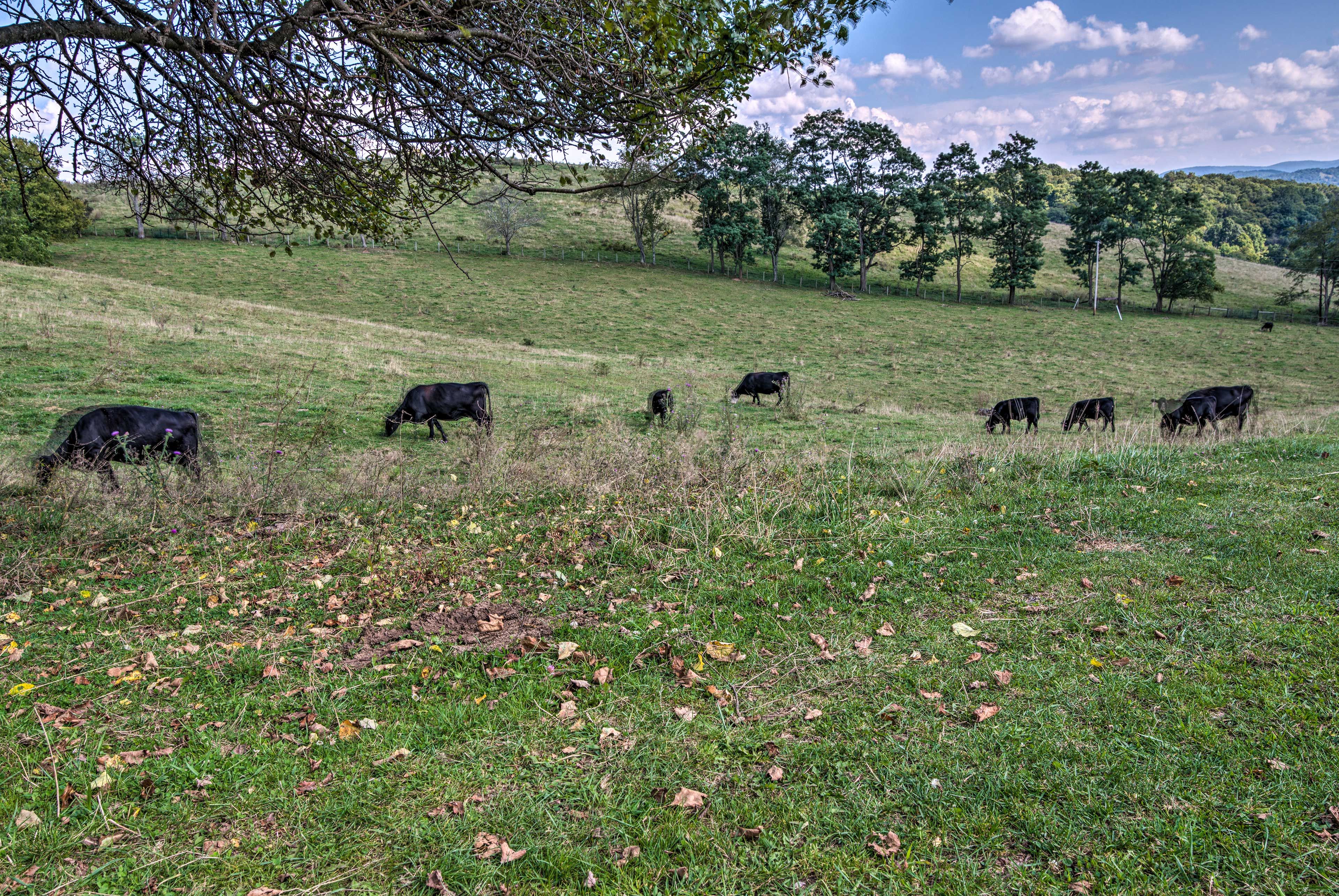 Neighboring Farm