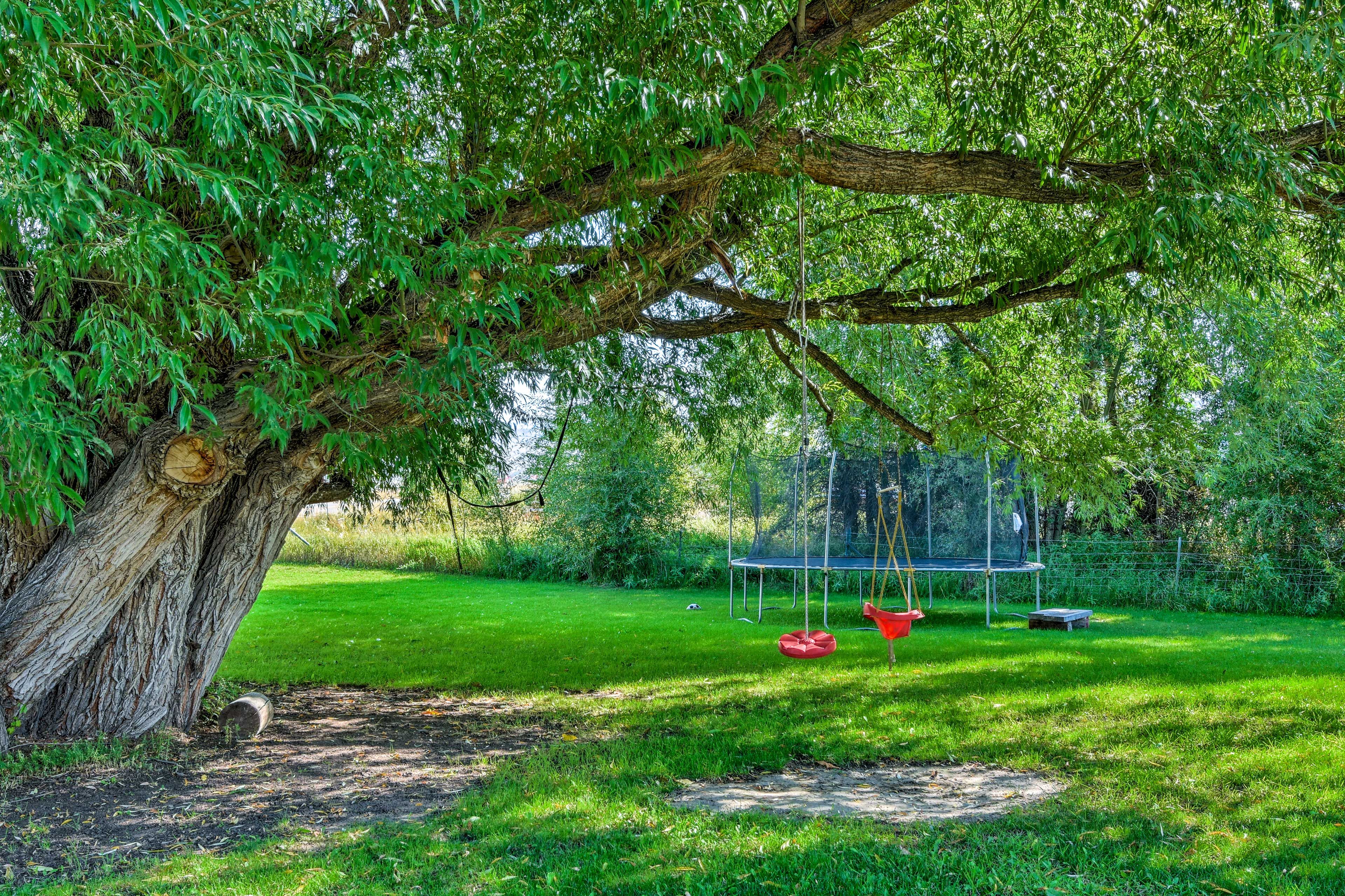 Private Yard | Children's Toys | Trampoline