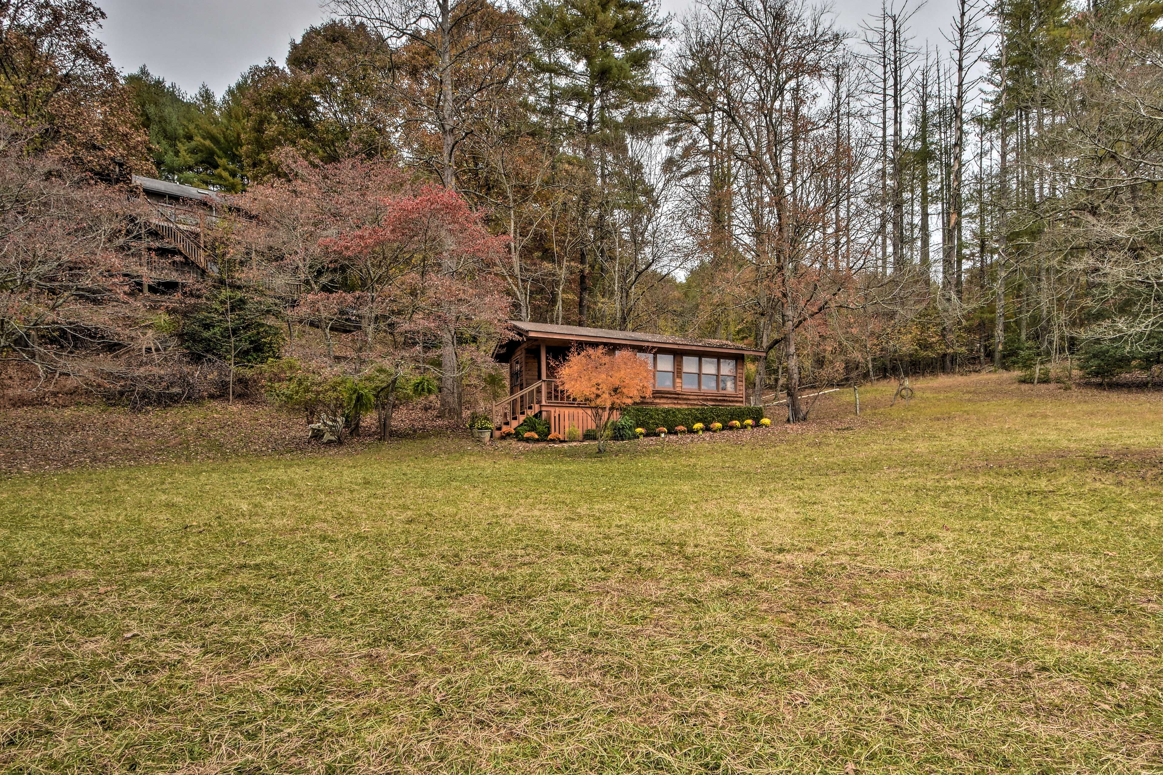 Spacious Yard