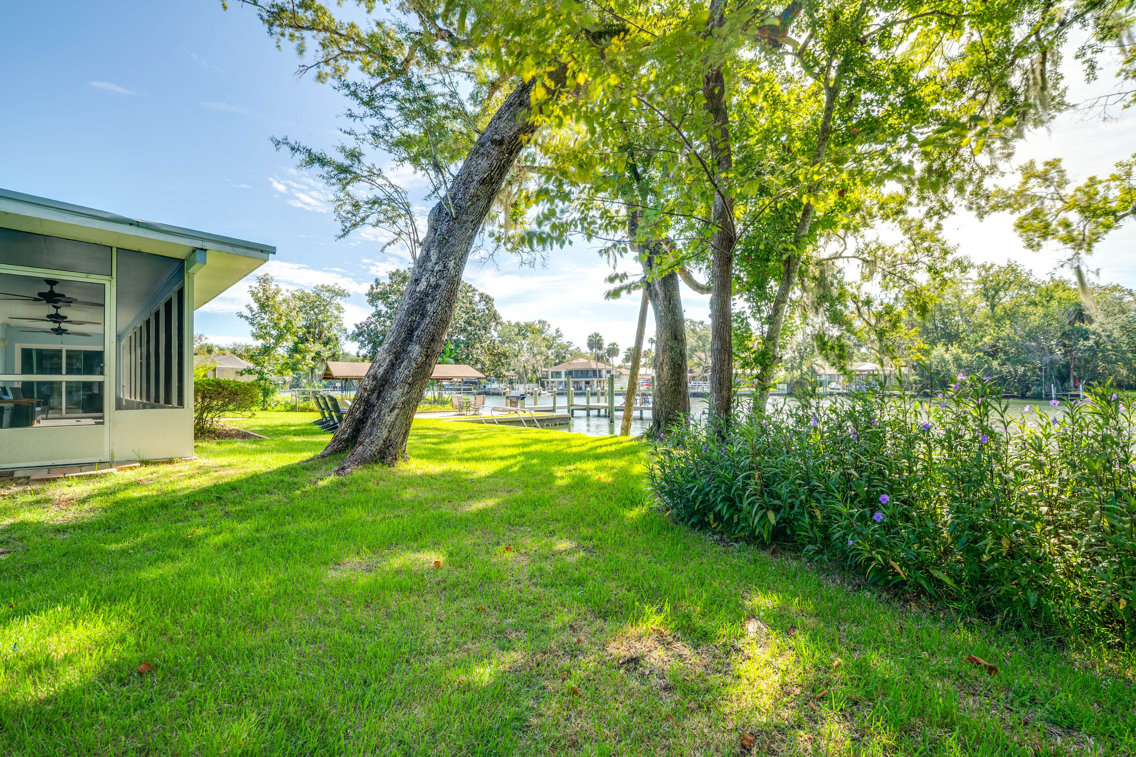 Backyard