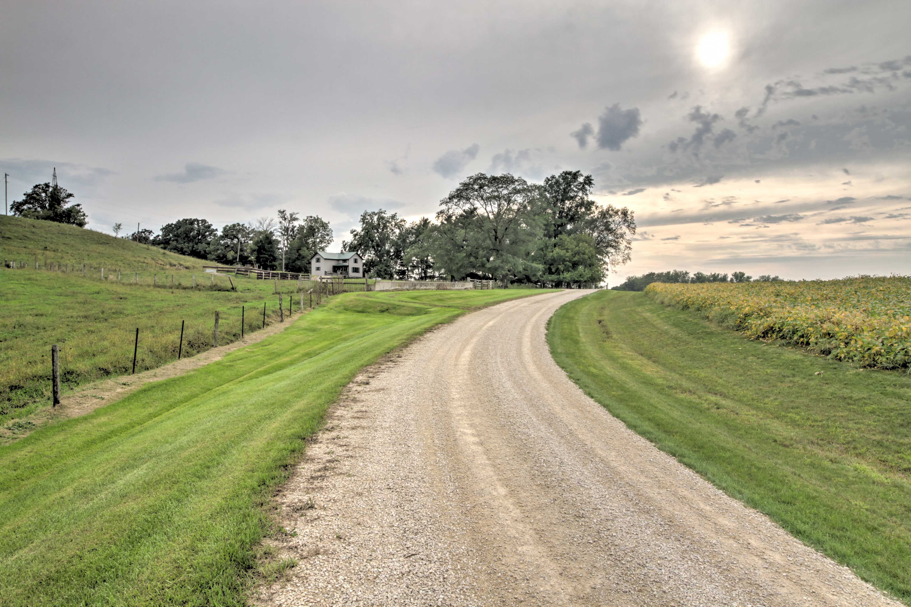 Image 25