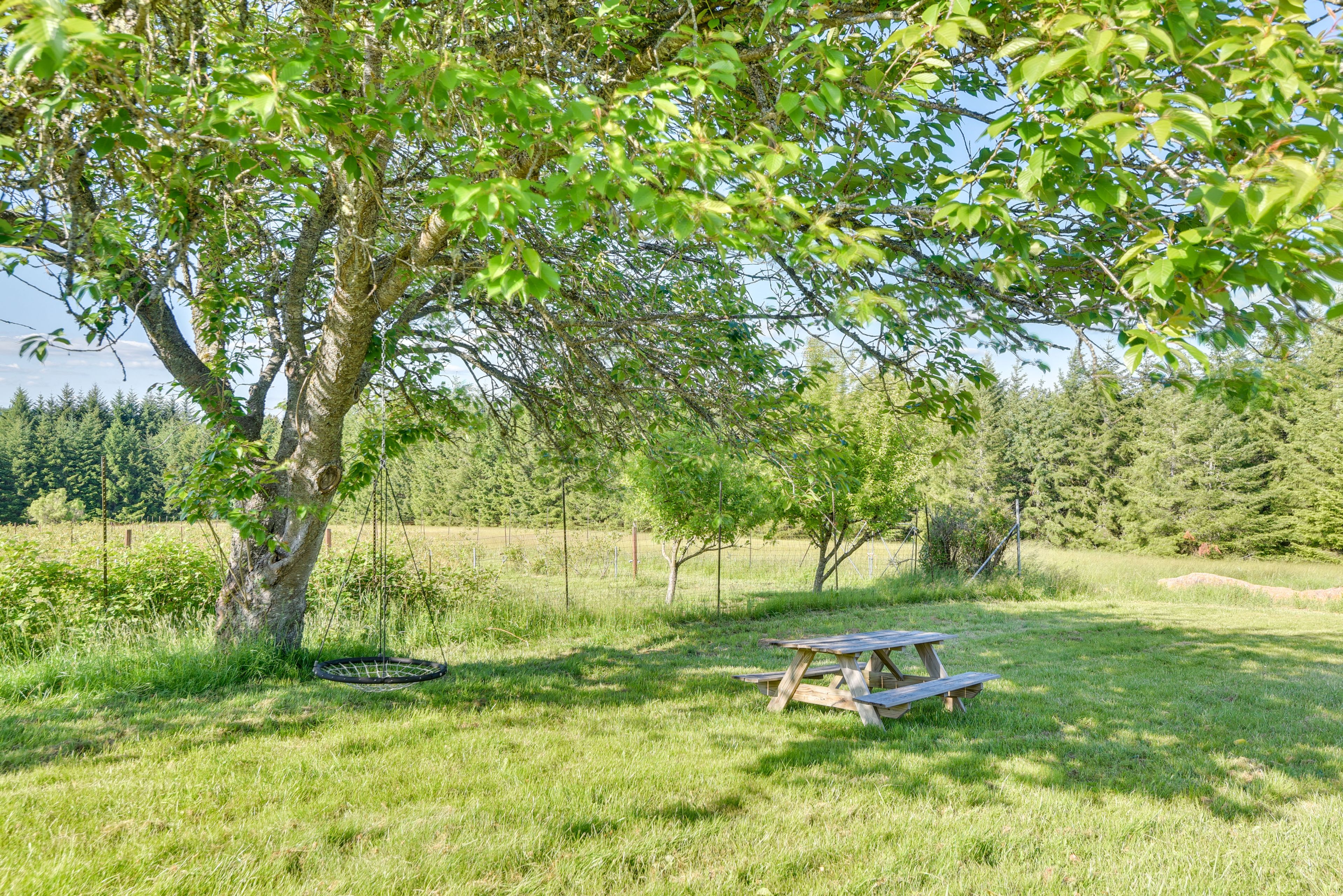 Yard | Blueberry Farm Views