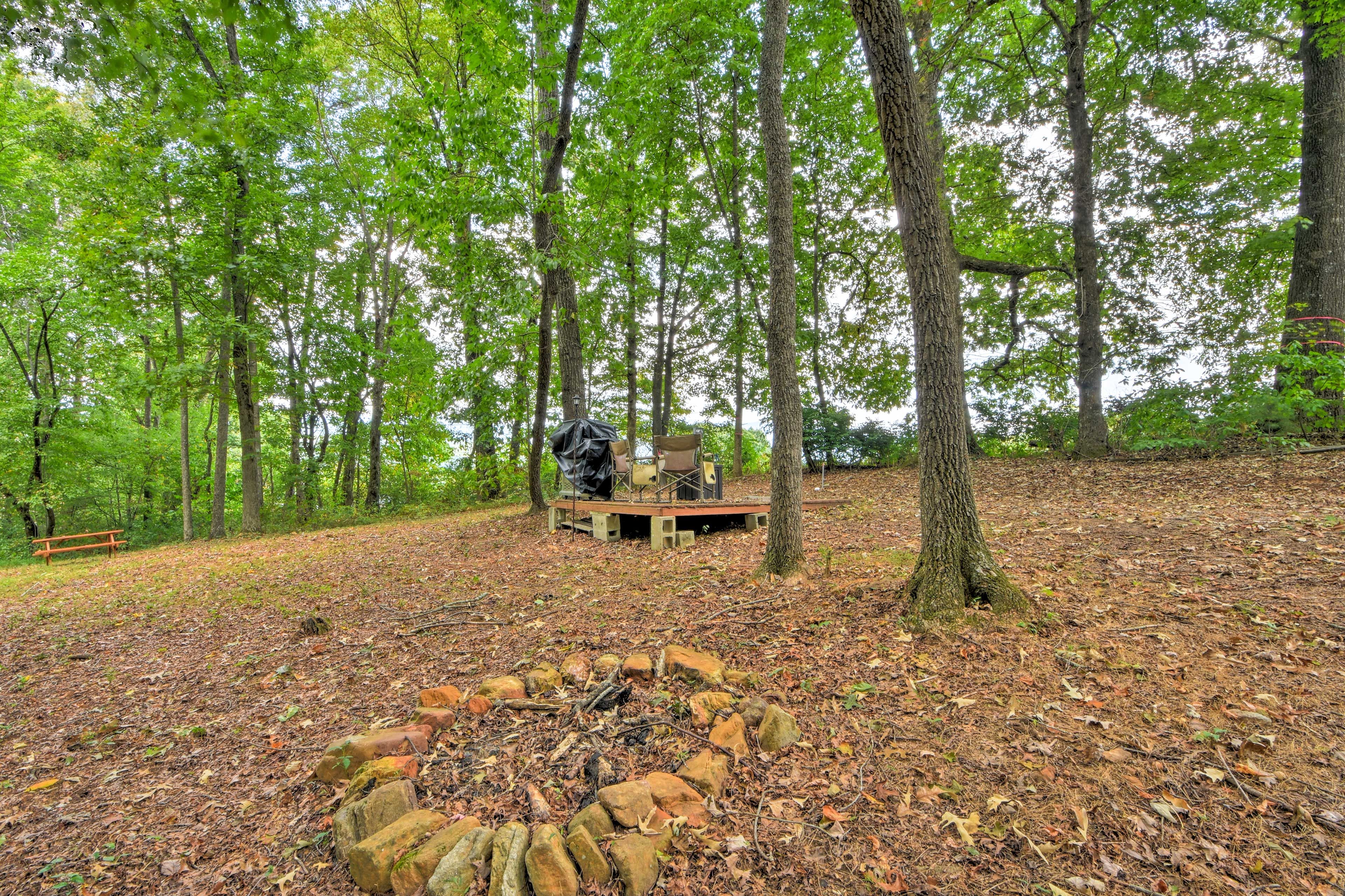 Backyard | Fire Pit