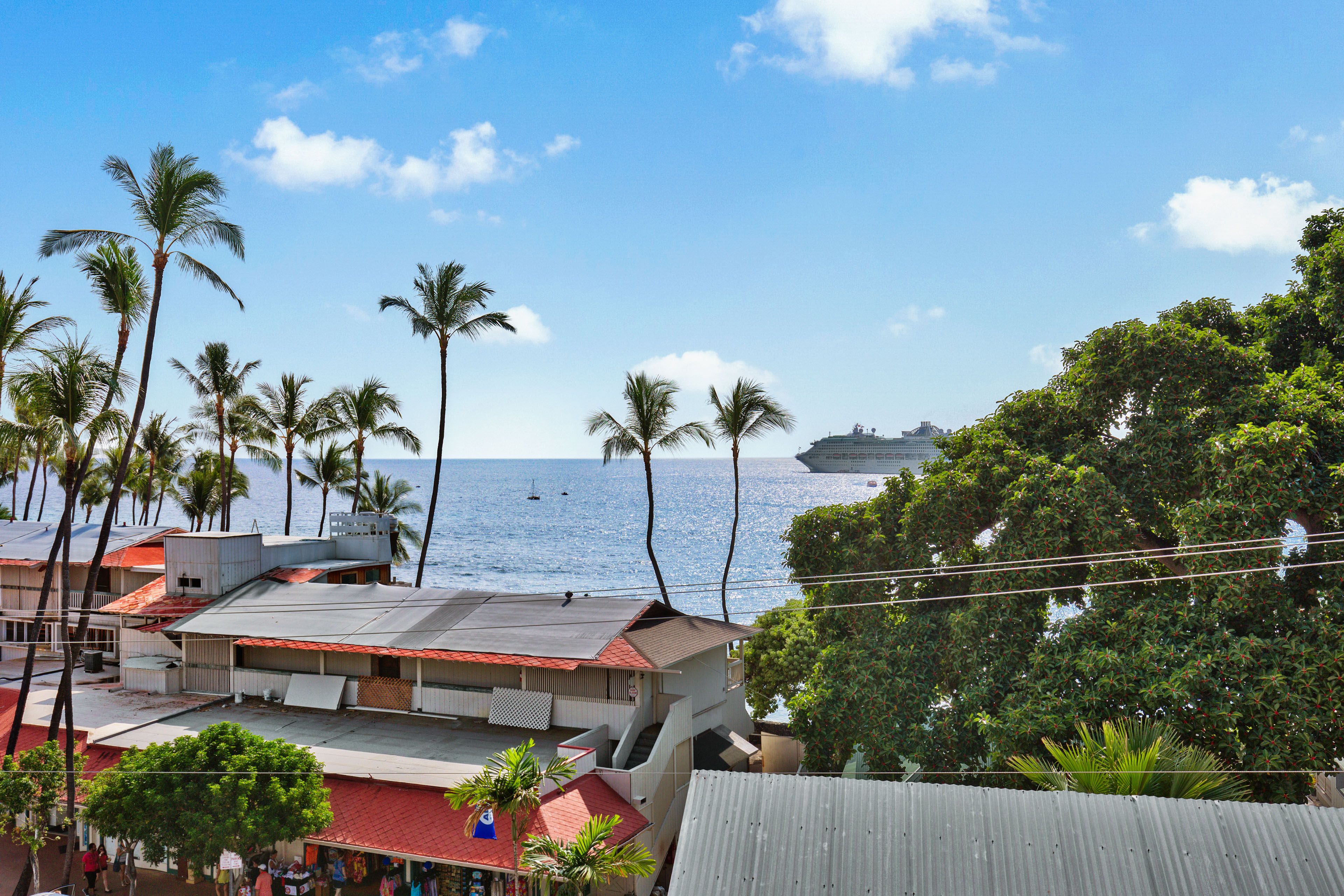 Deck Views