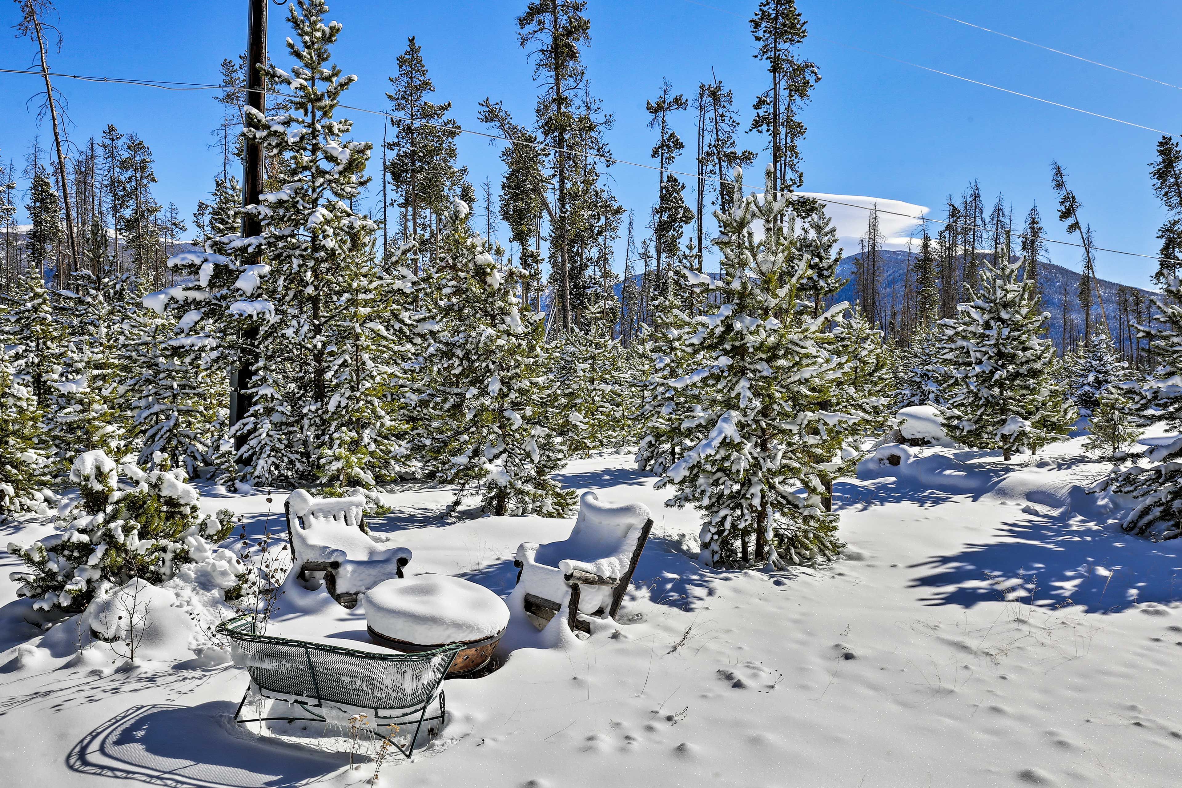 Private Yard | Wood-Burning Fire Pit