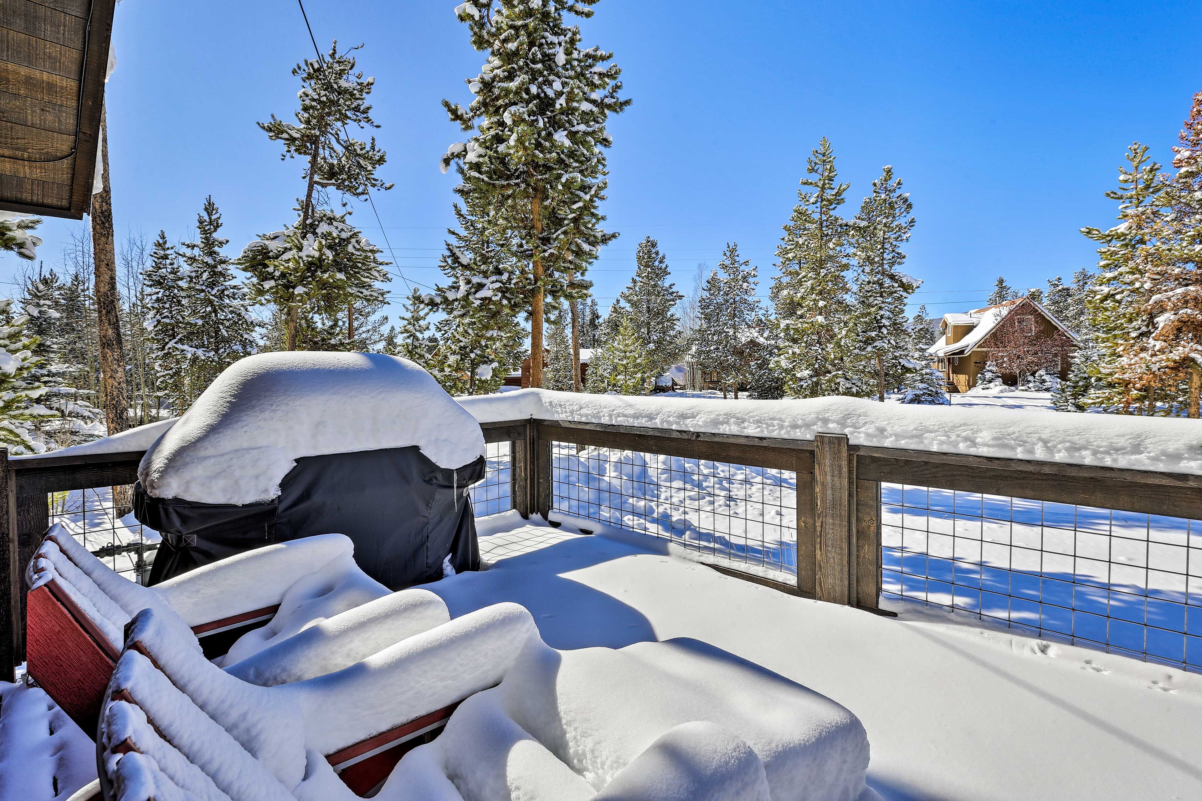 Furnished Deck | Gas Grill