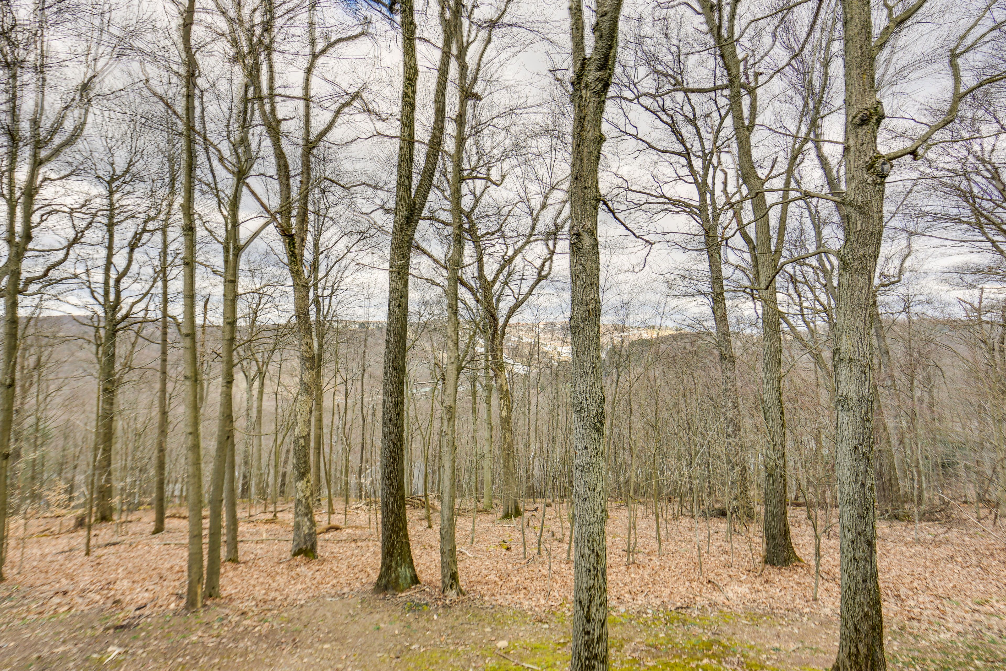 Property Views