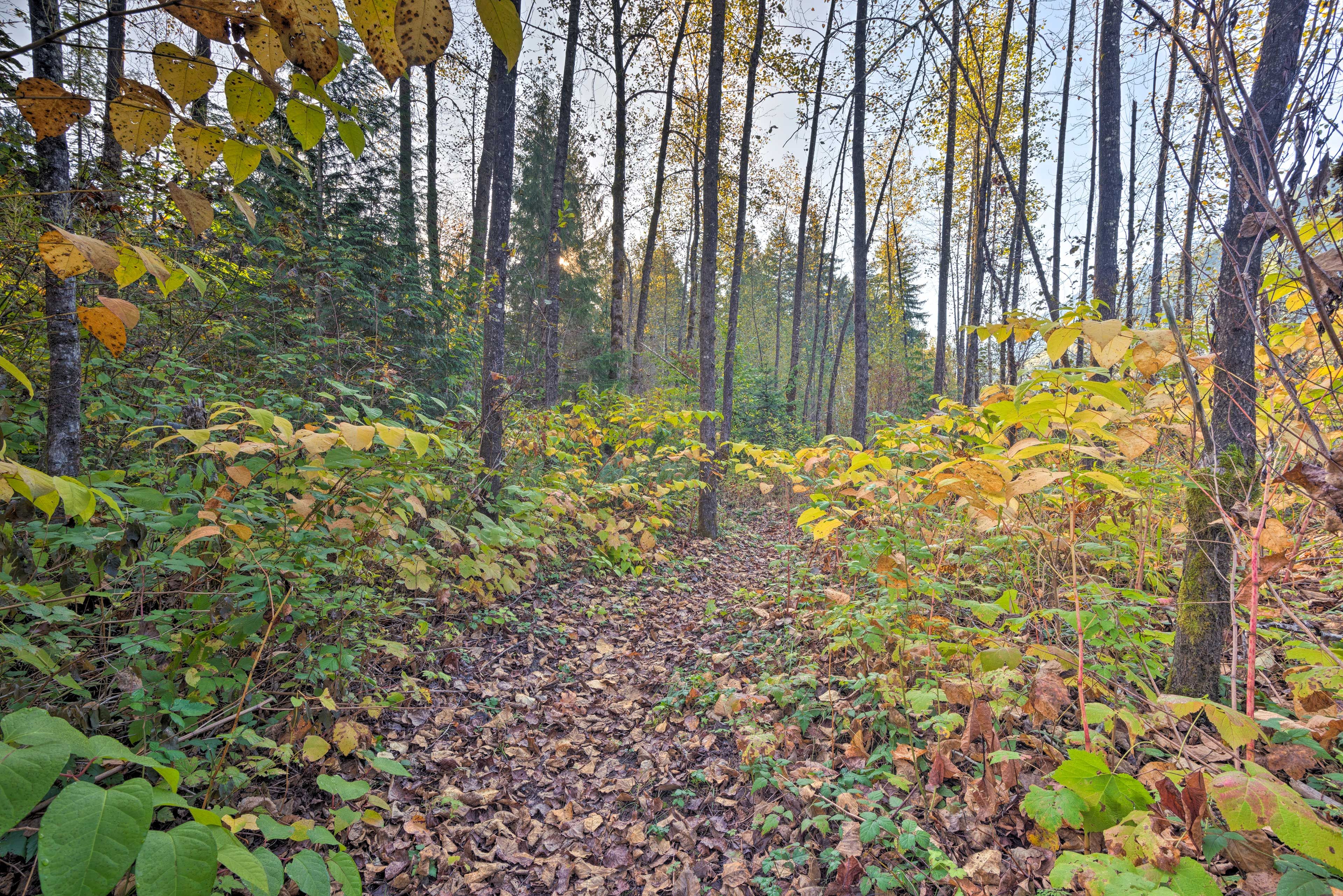 Surrounding Area