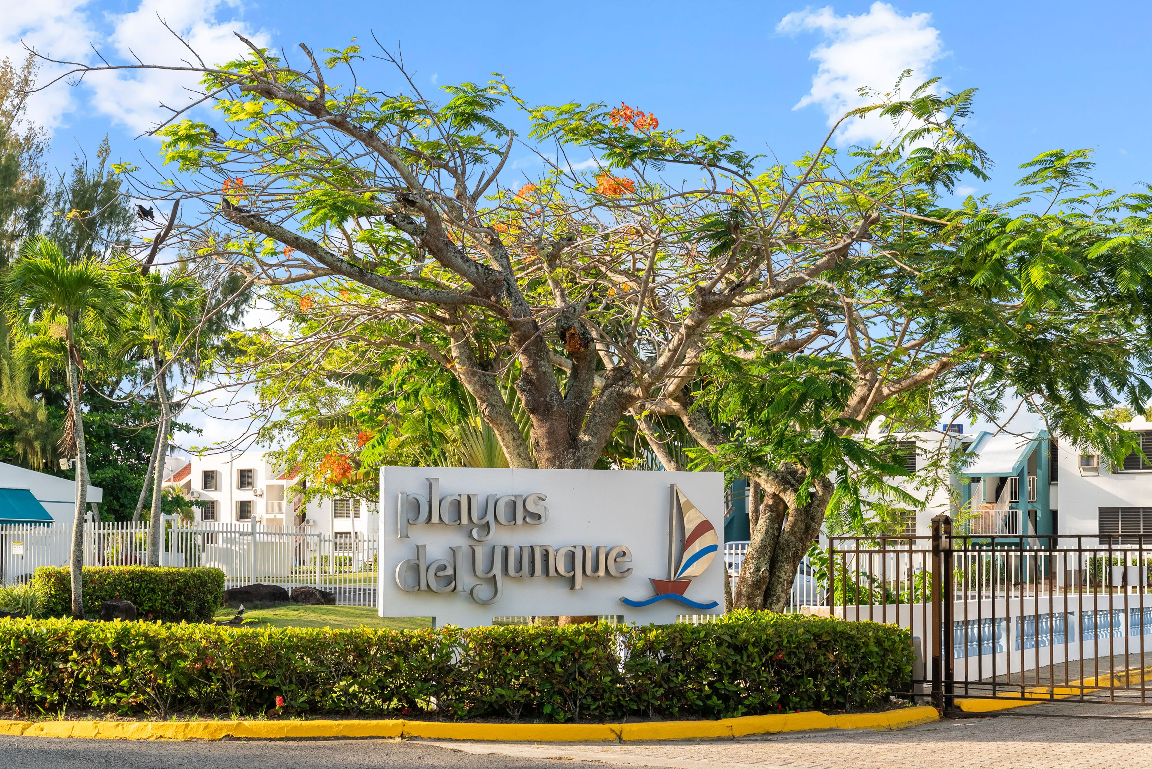 Playas Del Yunque Community